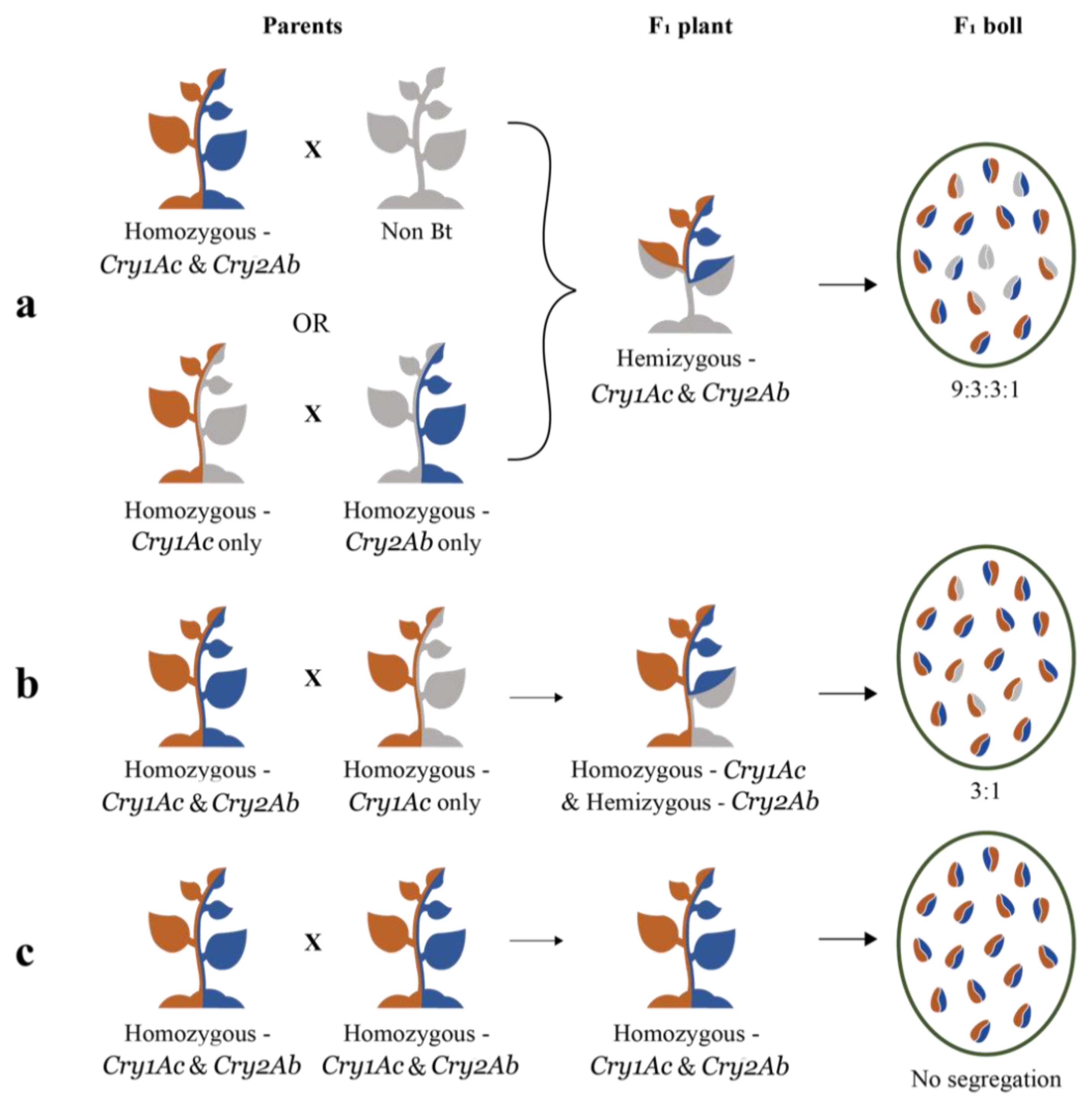 Genes 14 00065 g004 Genes 14 00065 g004