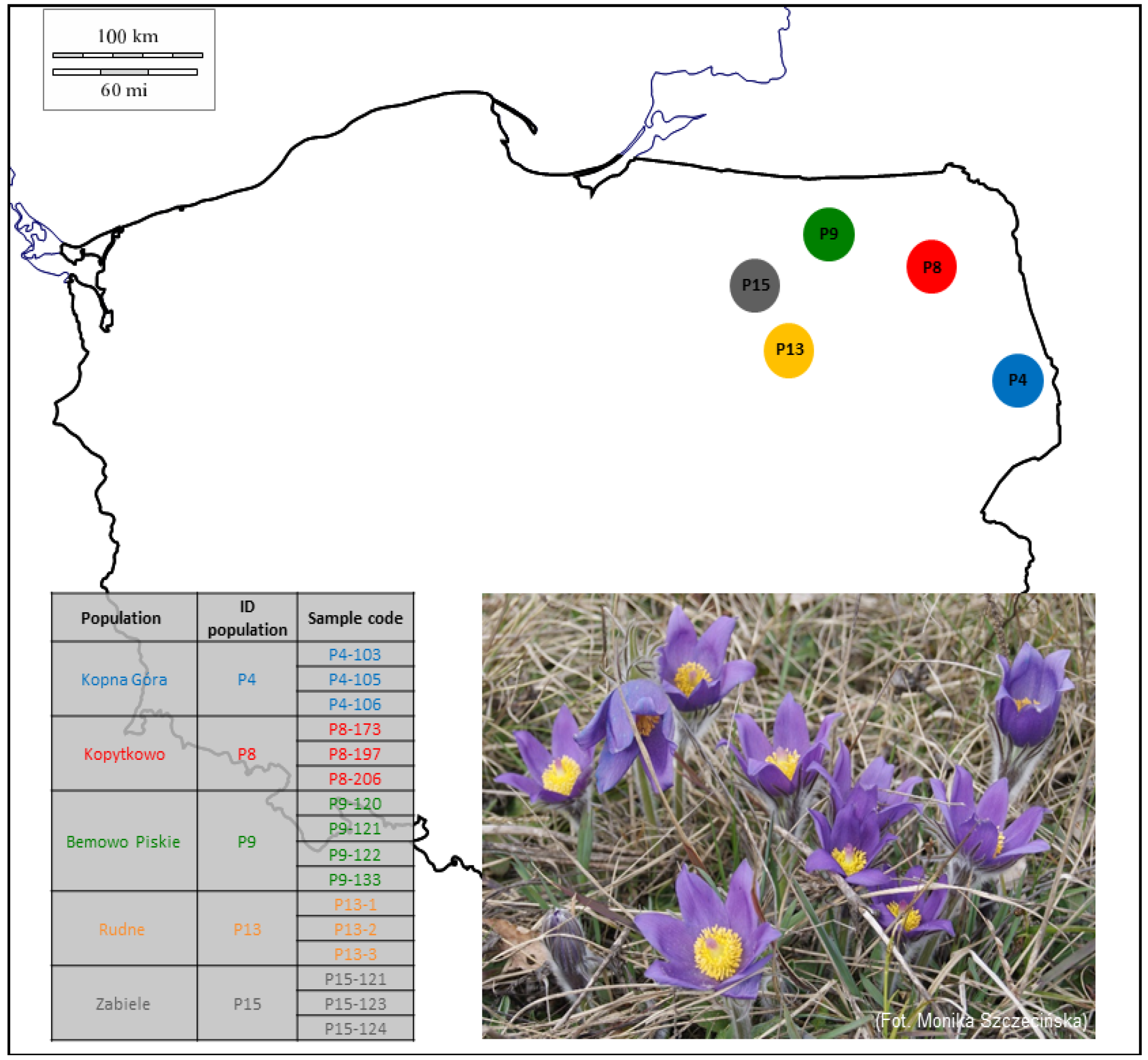 Genes 14 00067 g001 Genes 14 00067 g001