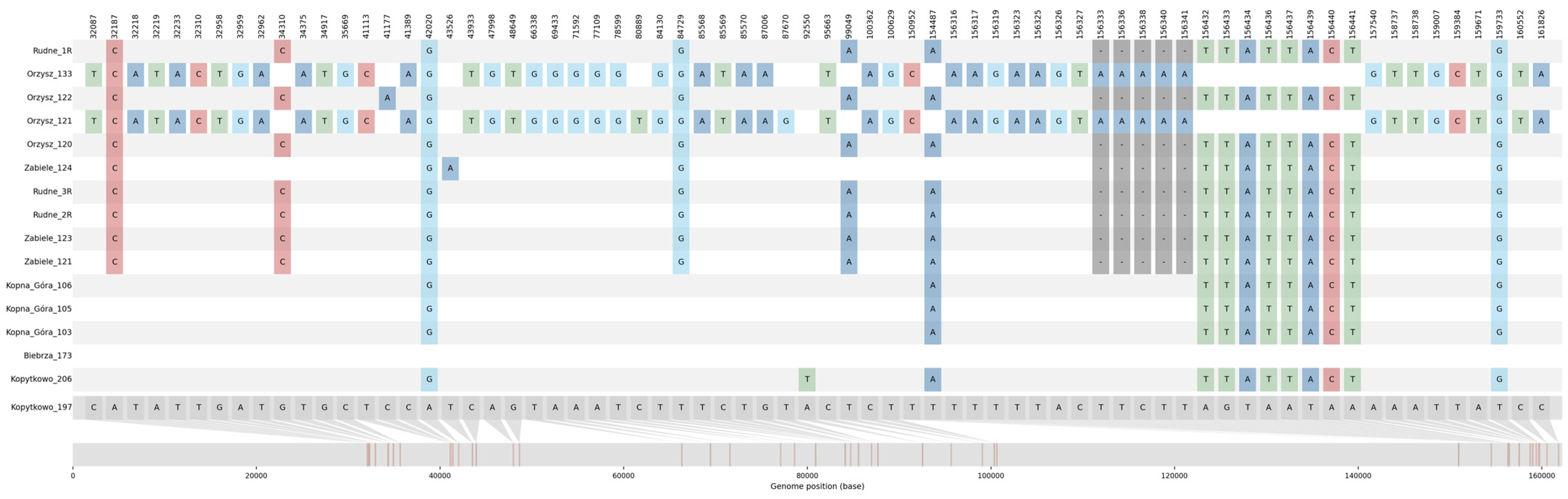 Genes 14 00067 g002 Genes 14 00067 g002