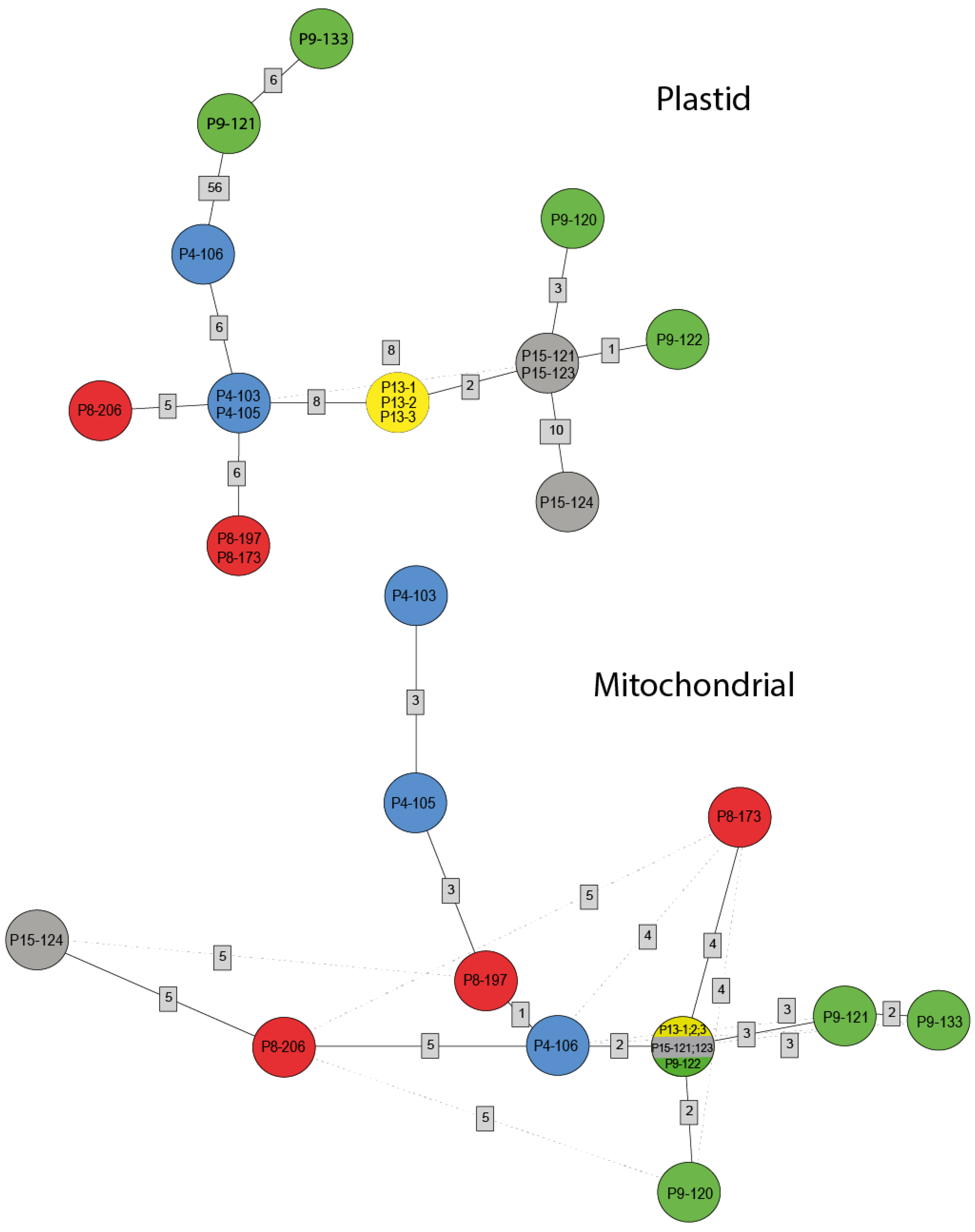 Genes 14 00067 g004 Genes 14 00067 g004