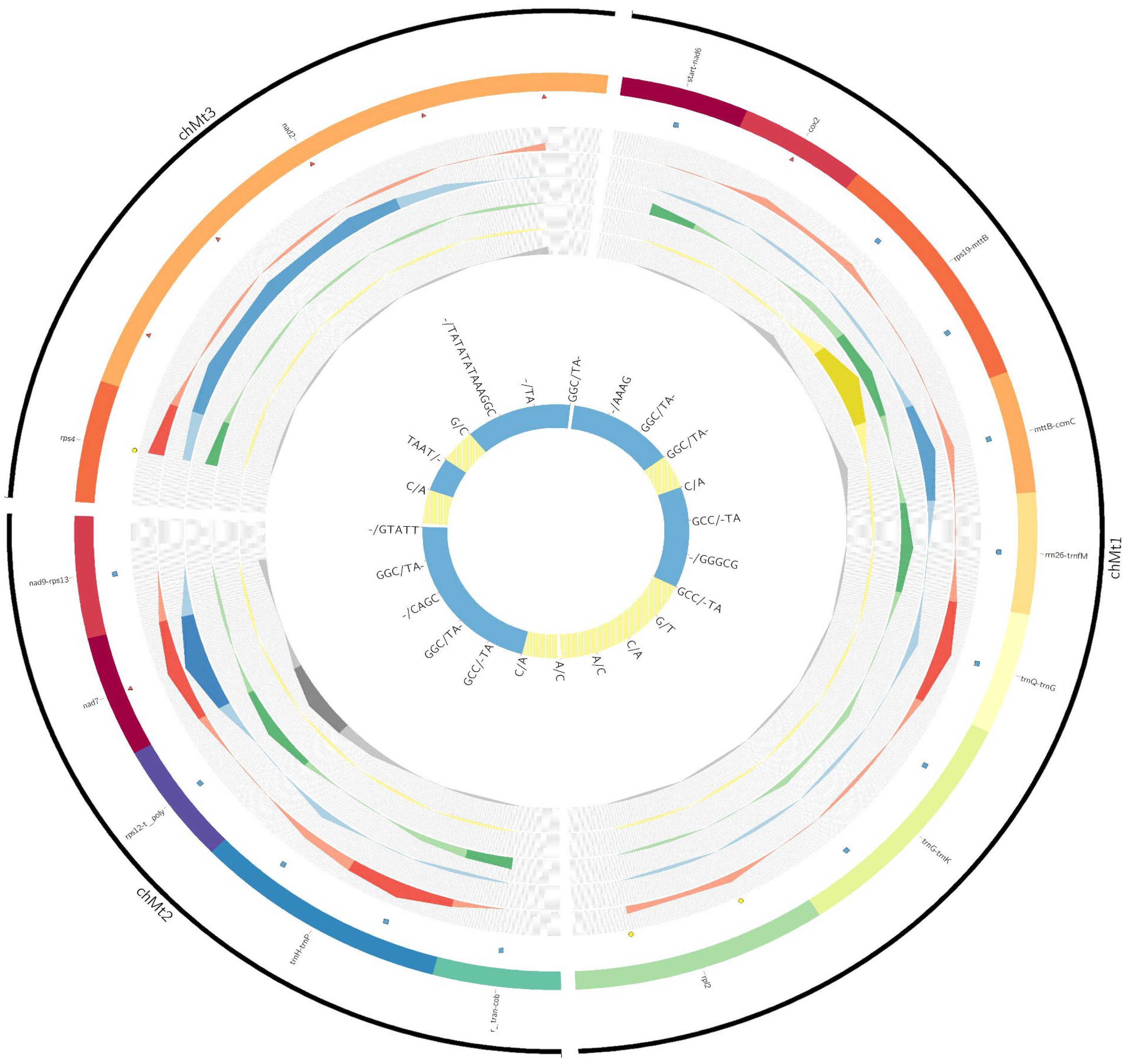 Genes 14 00067 g005 Genes 14 00067 g005