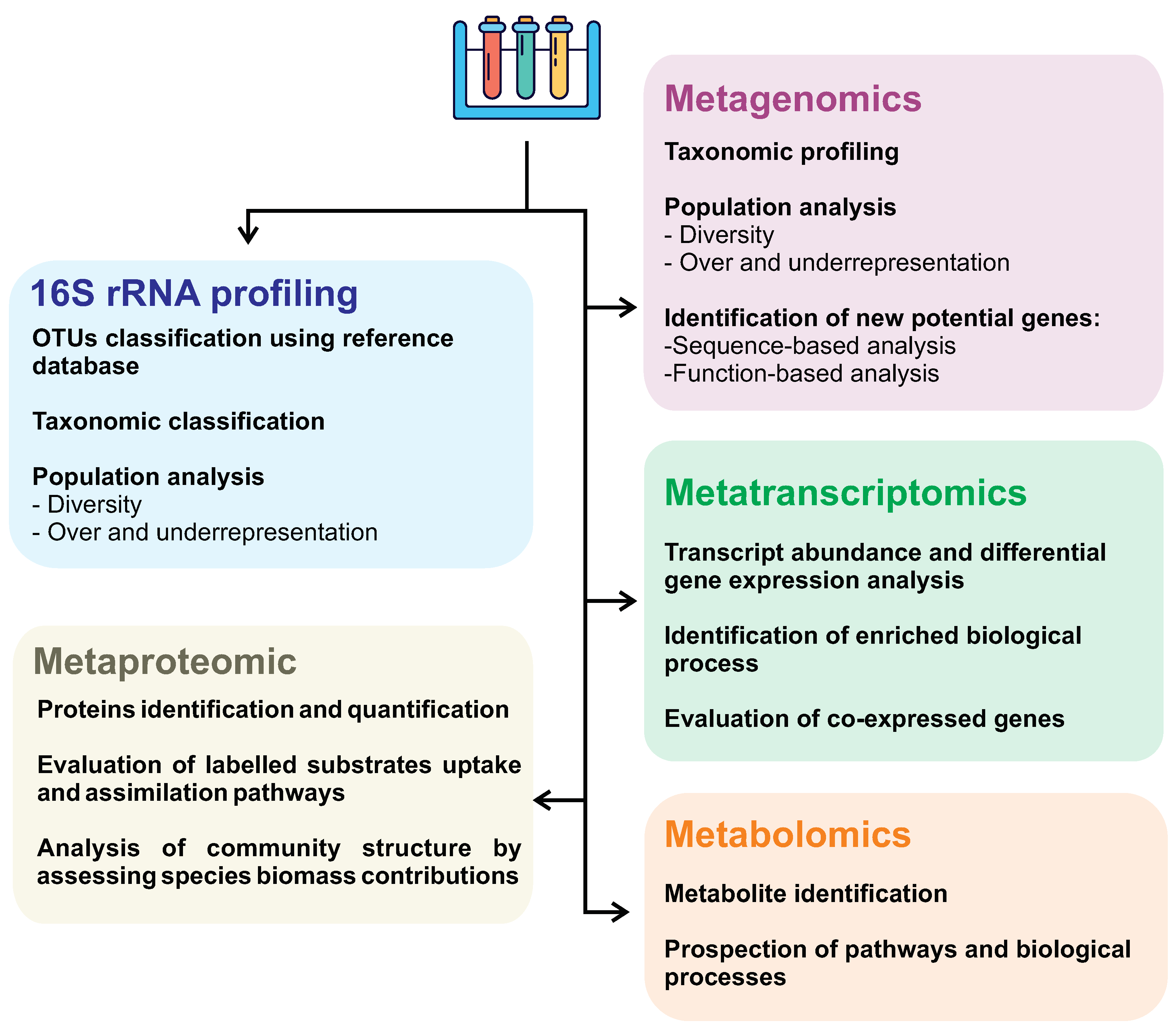 Genes 14 00076 g004