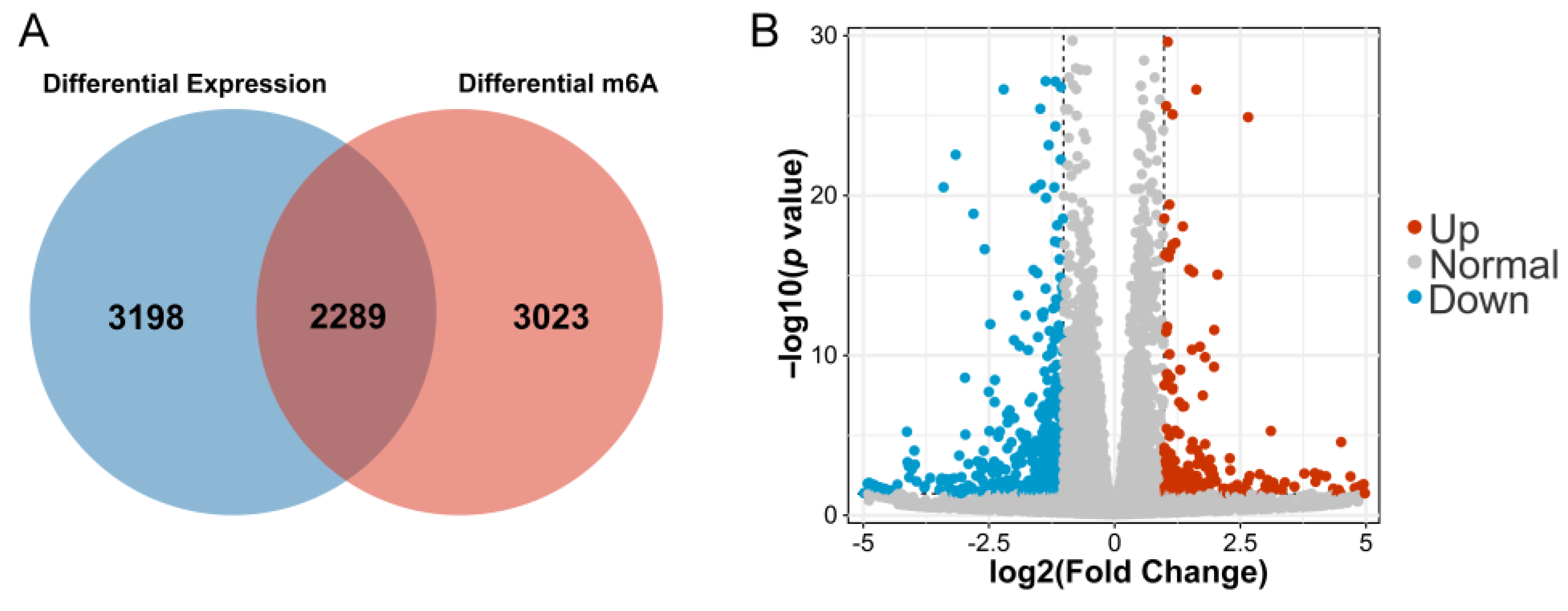 Genes 14 00079 g003 Genes 14 00079 g003