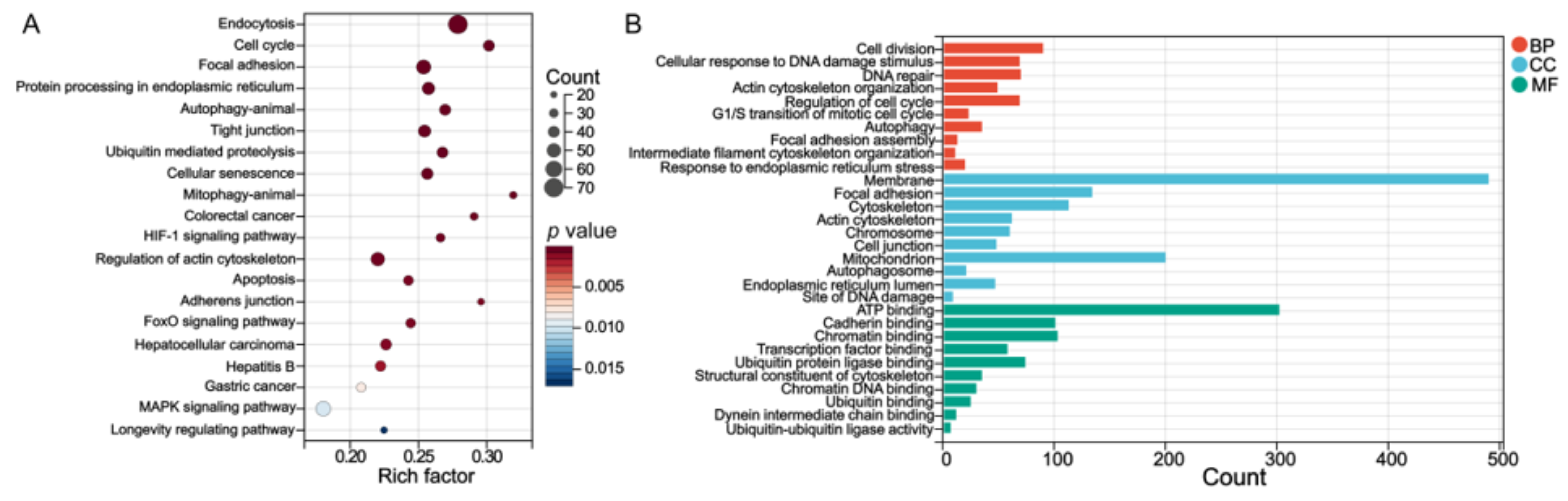 Genes 14 00079 g004 Genes 14 00079 g004