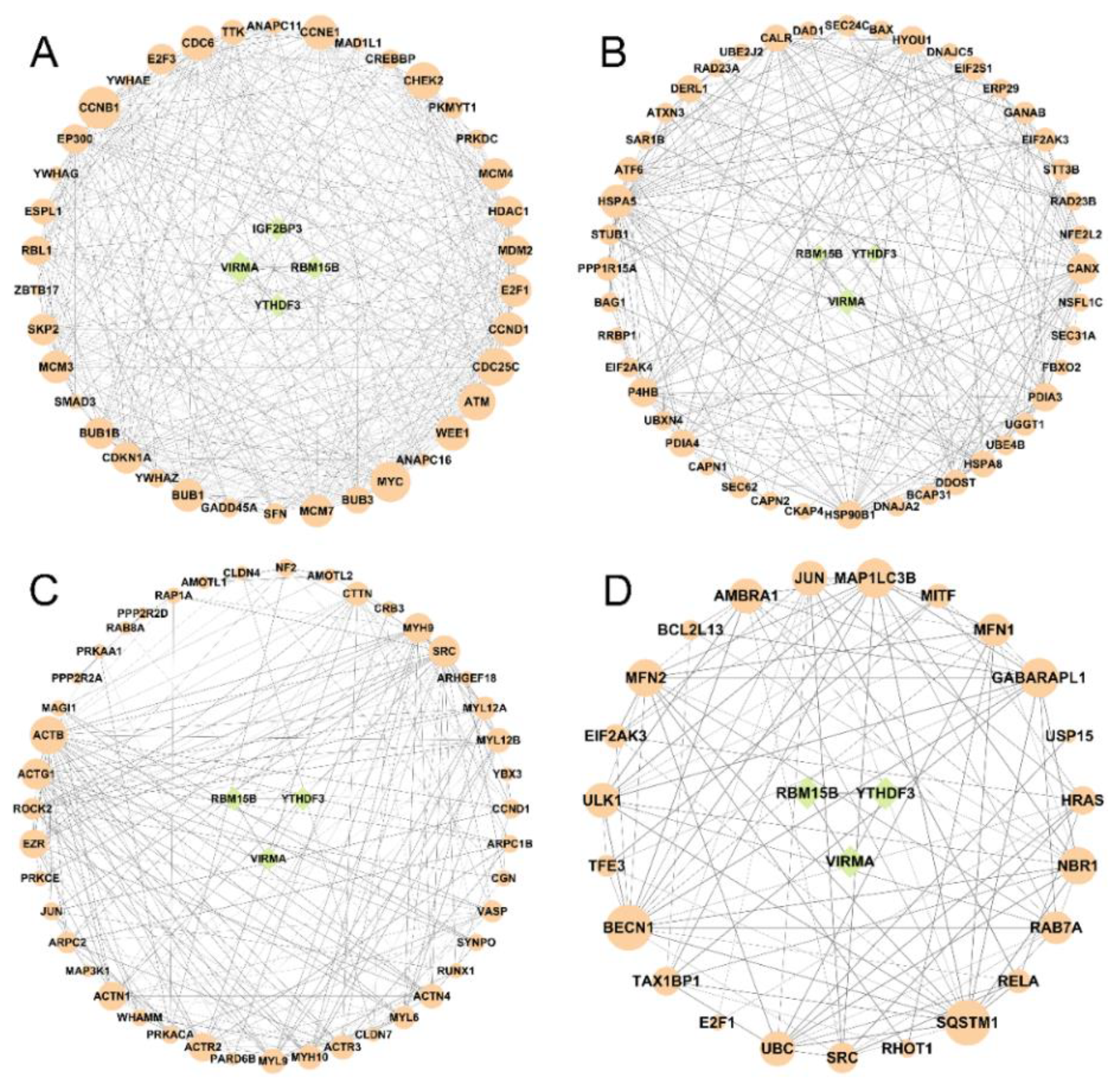 Genes 14 00079 g008 Genes 14 00079 g008