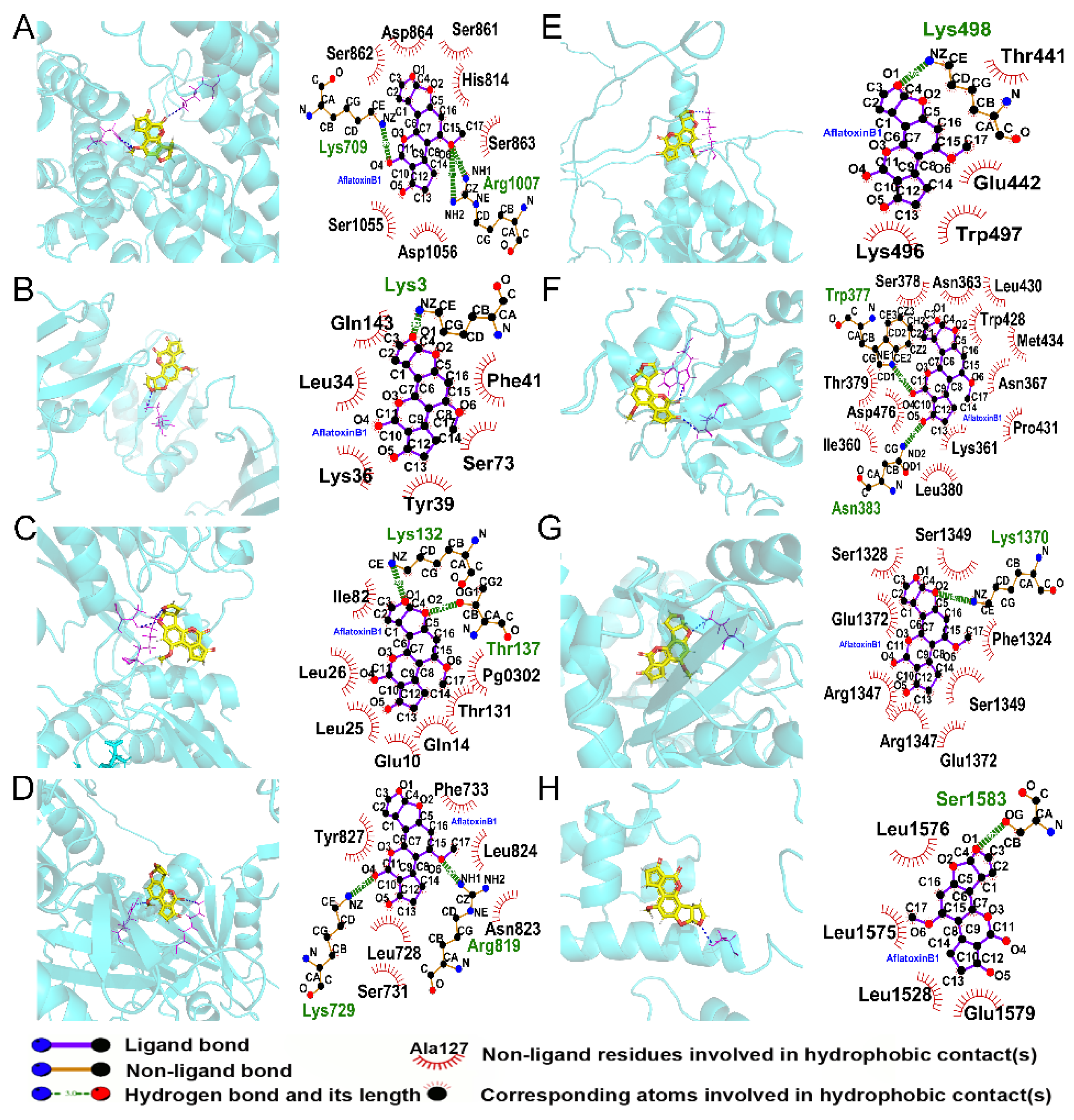 Genes 14 00079 g010 Genes 14 00079 g010