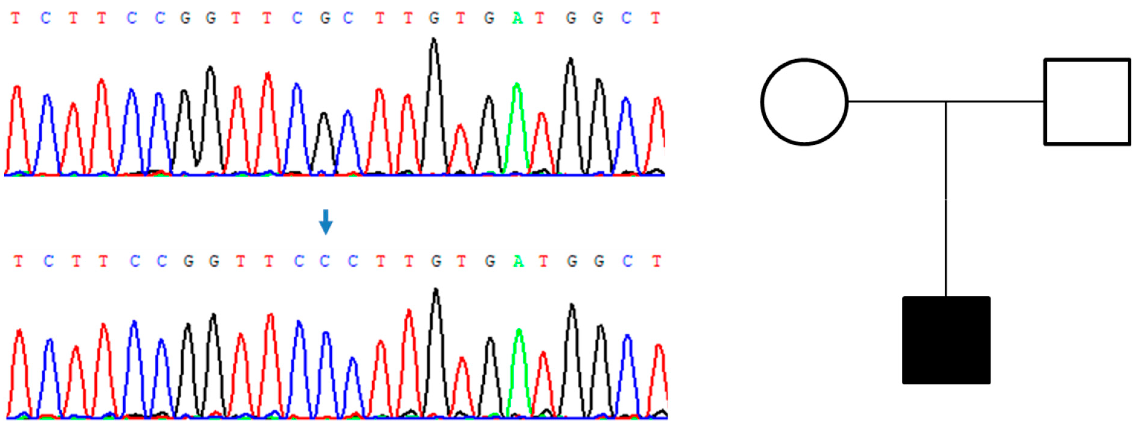 Genes 14 00080 g004 Genes 14 00080 g004