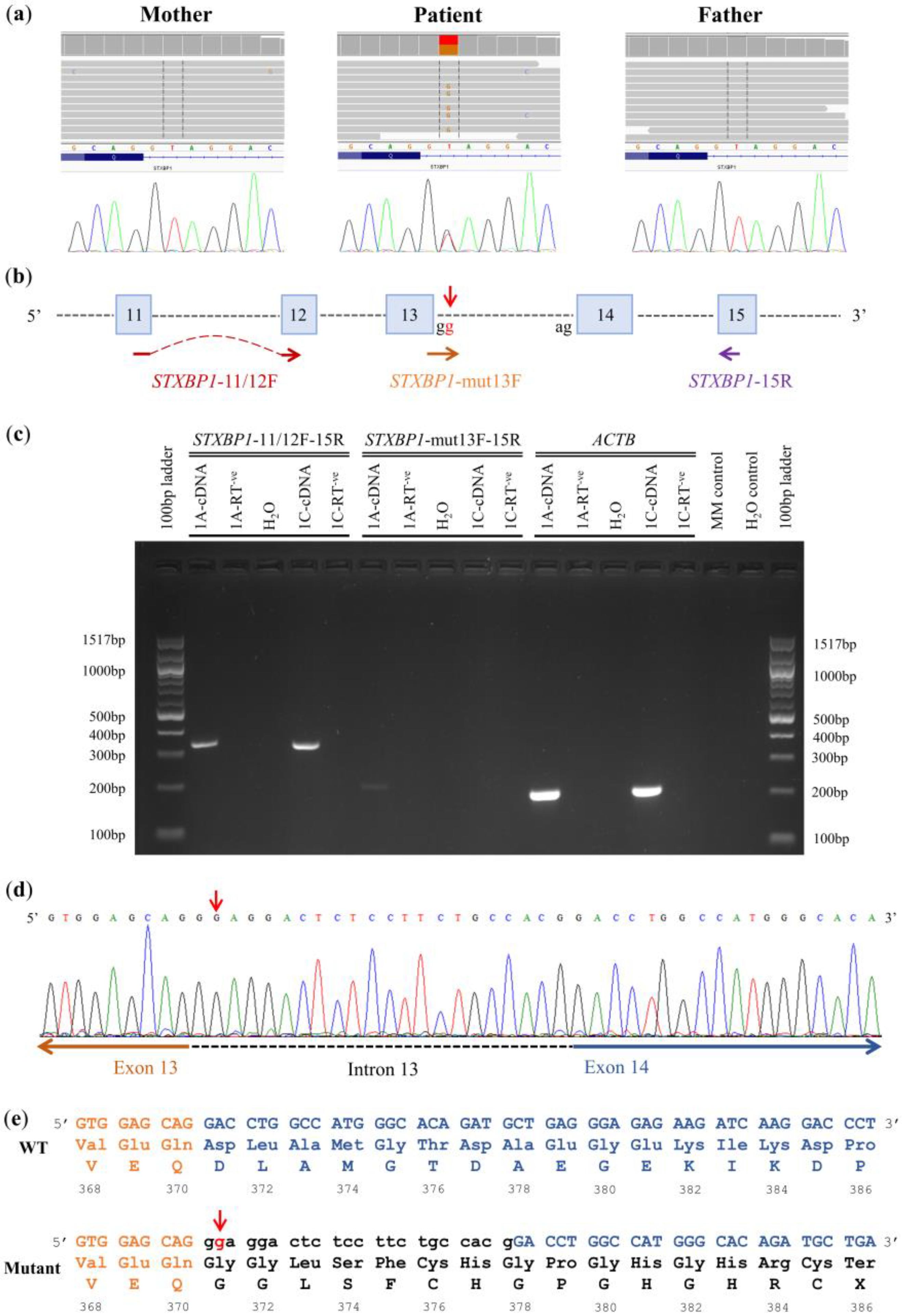 Genes 14 00082 g001 Genes 14 00082 g001