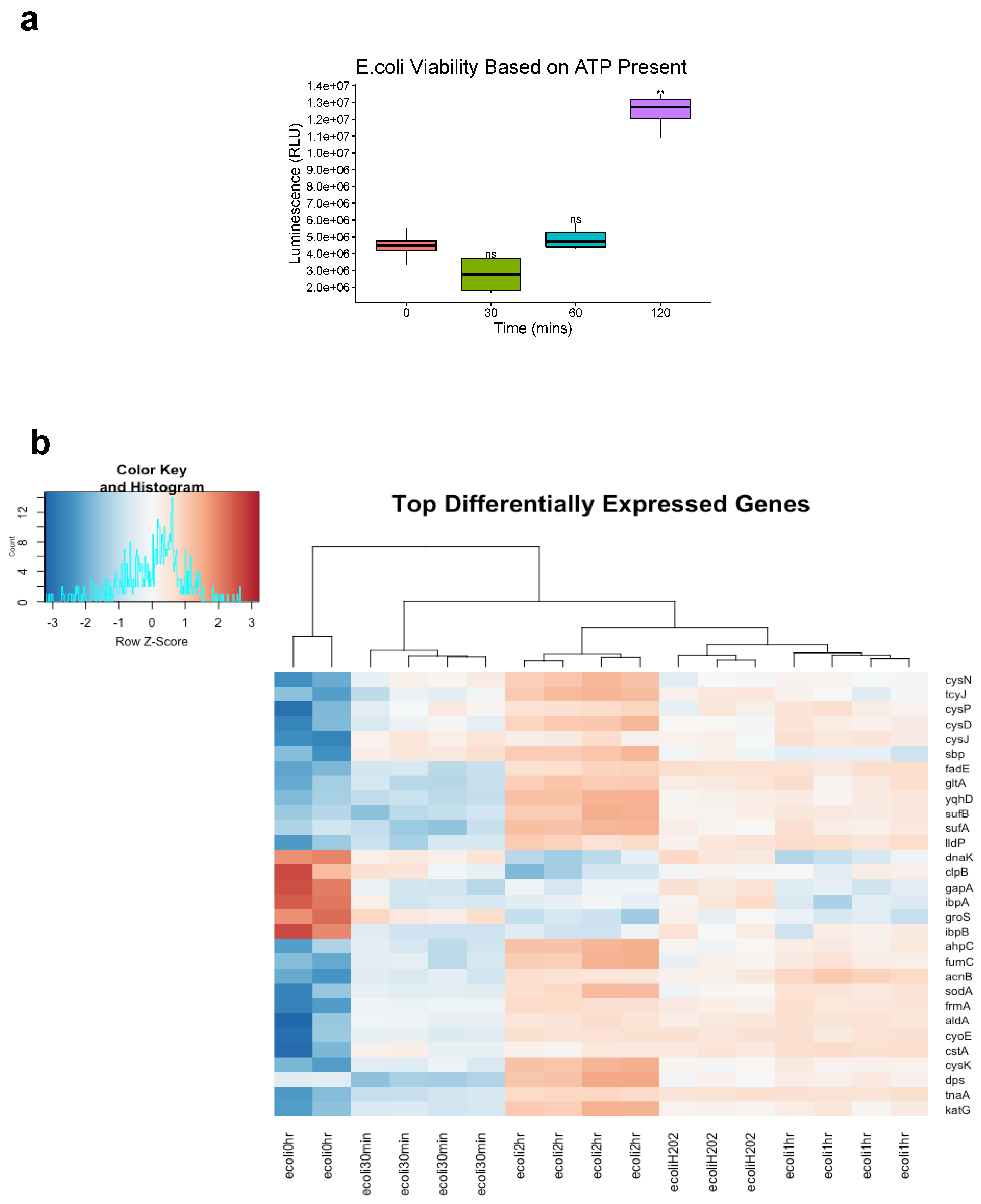 Genes 14 00085 g003a
