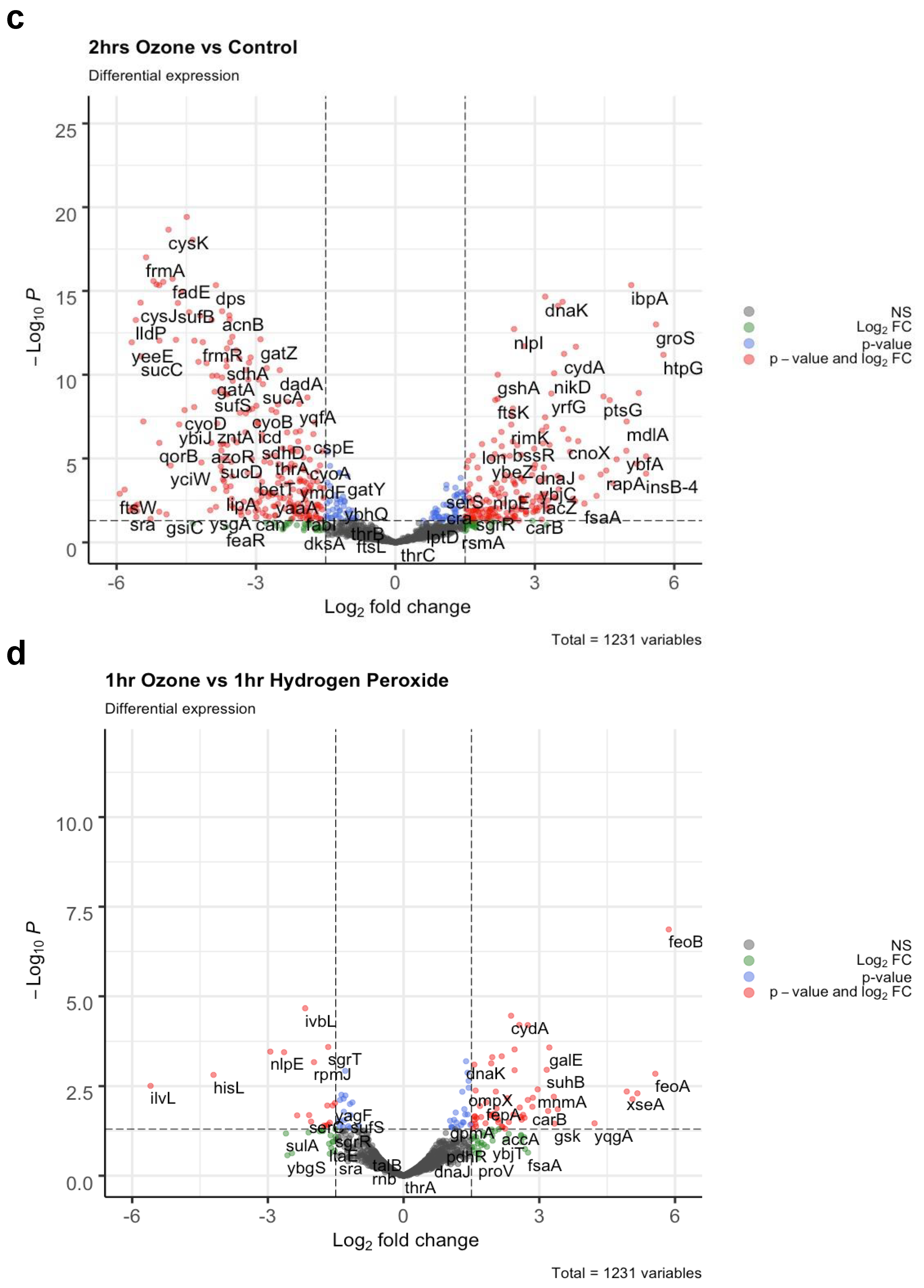 Genes 14 00085 g003b