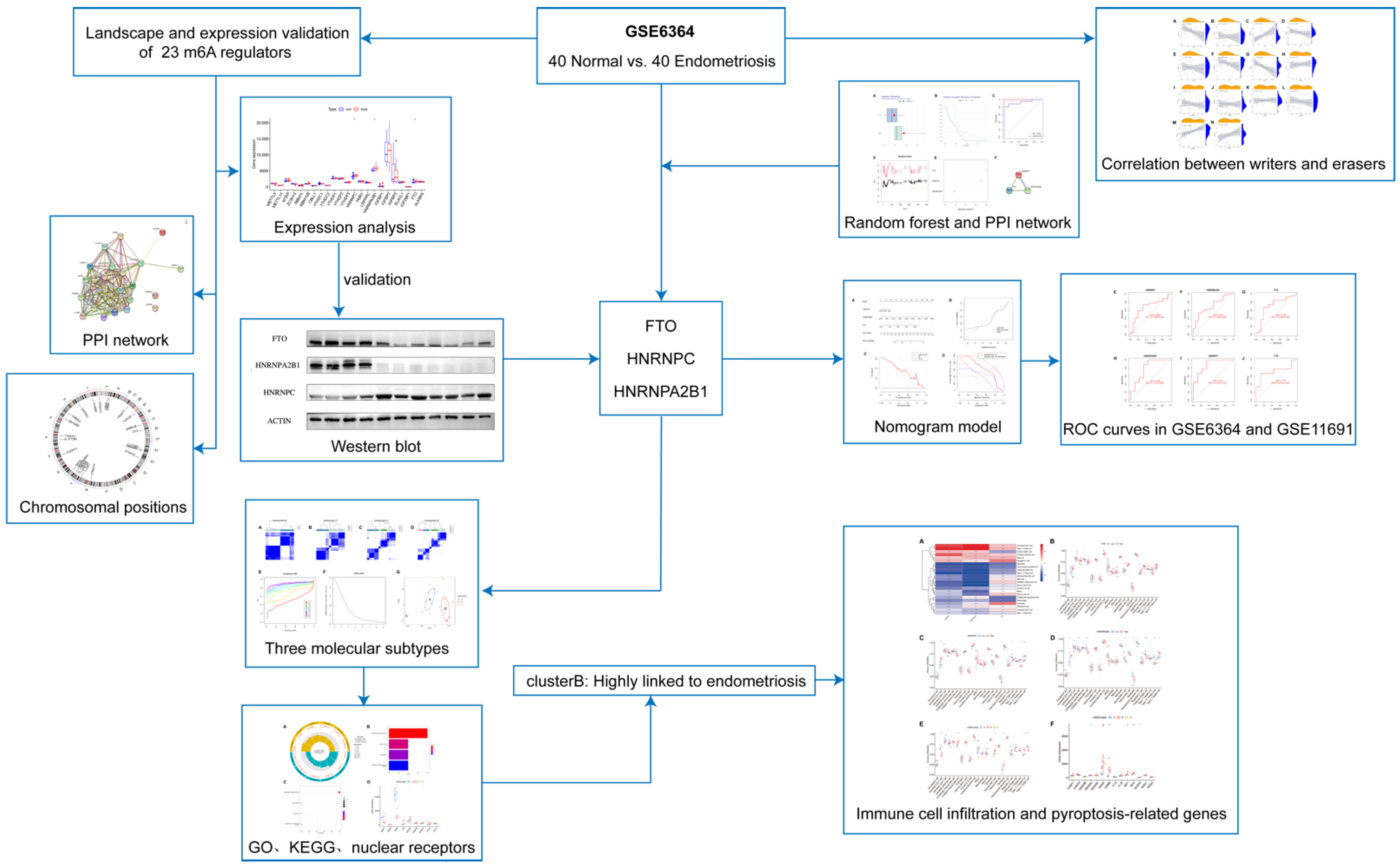 Genes 14 00086 g001 Genes 14 00086 g001