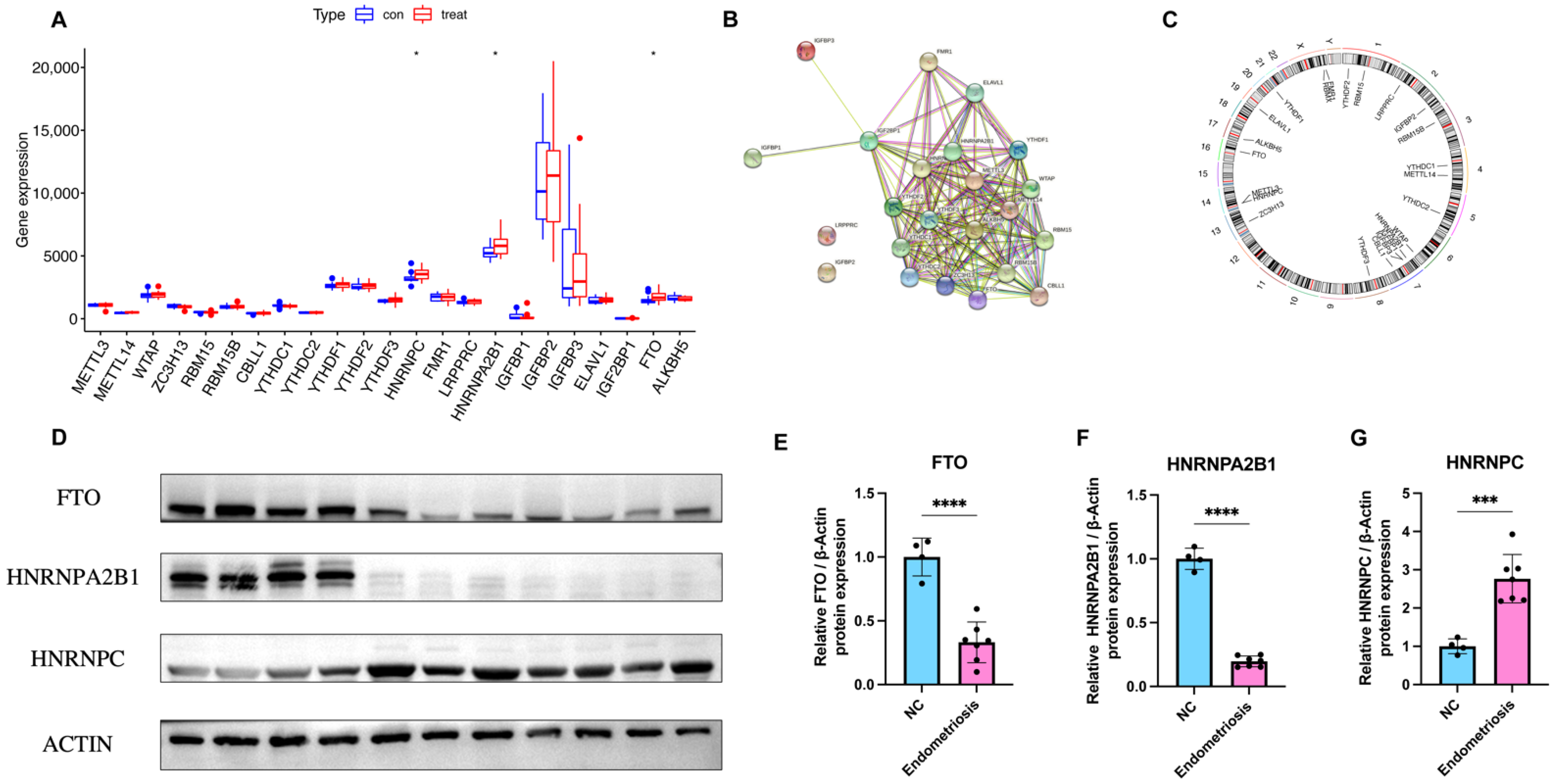 Genes 14 00086 g002 Genes 14 00086 g002
