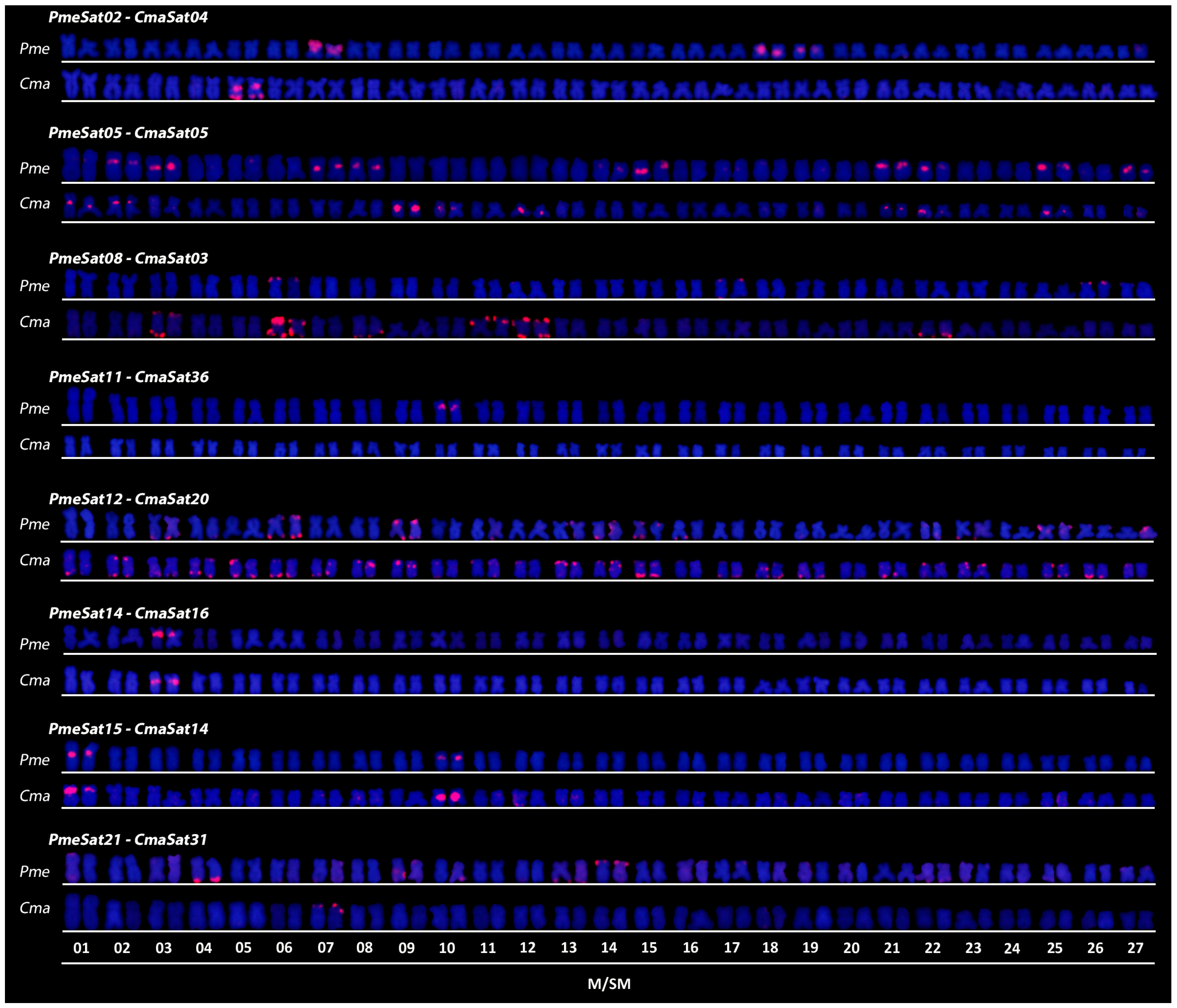 Genes 14 00091 g002 Genes 14 00091 g002