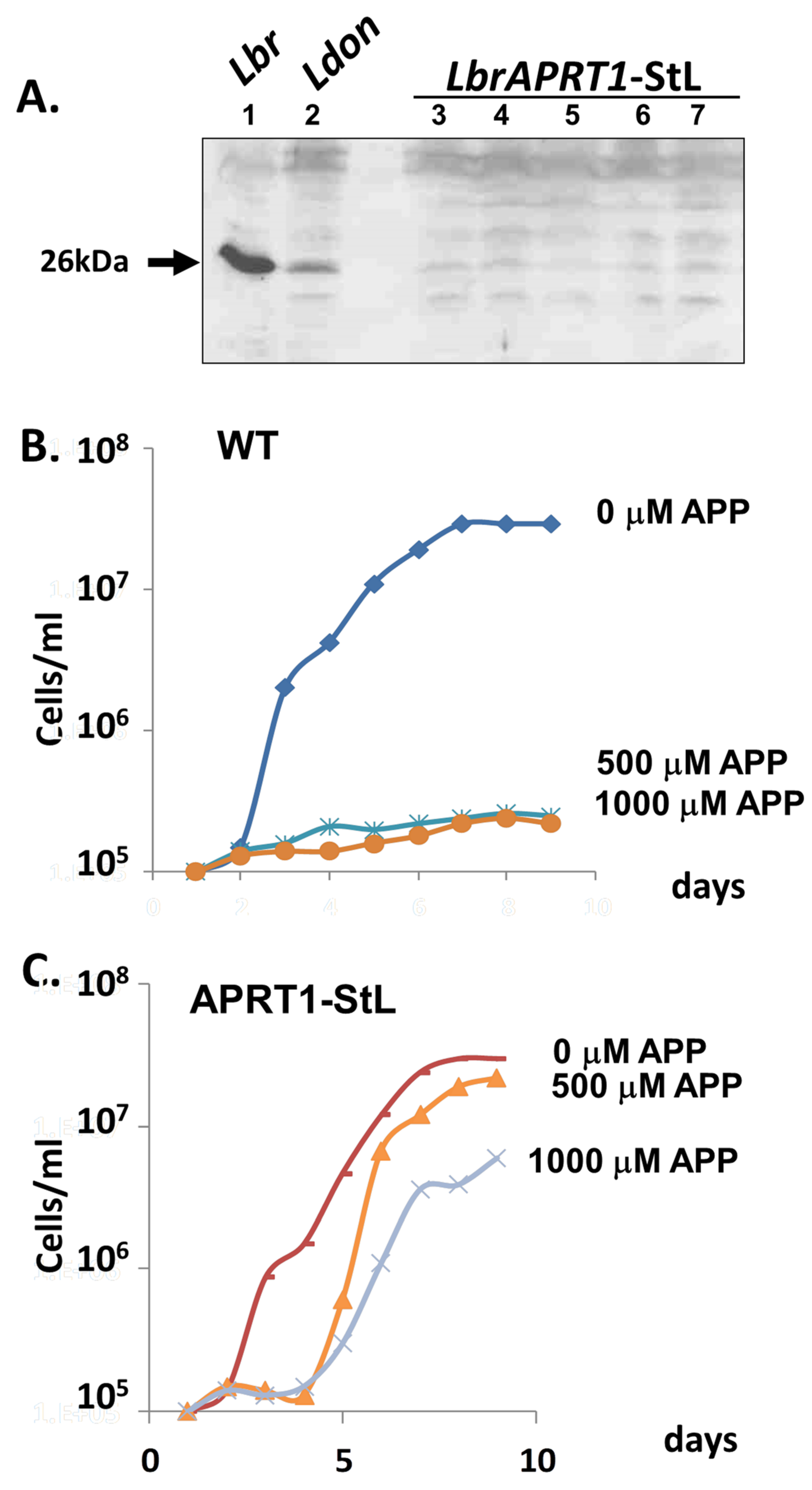 Genes 14 00093 g006