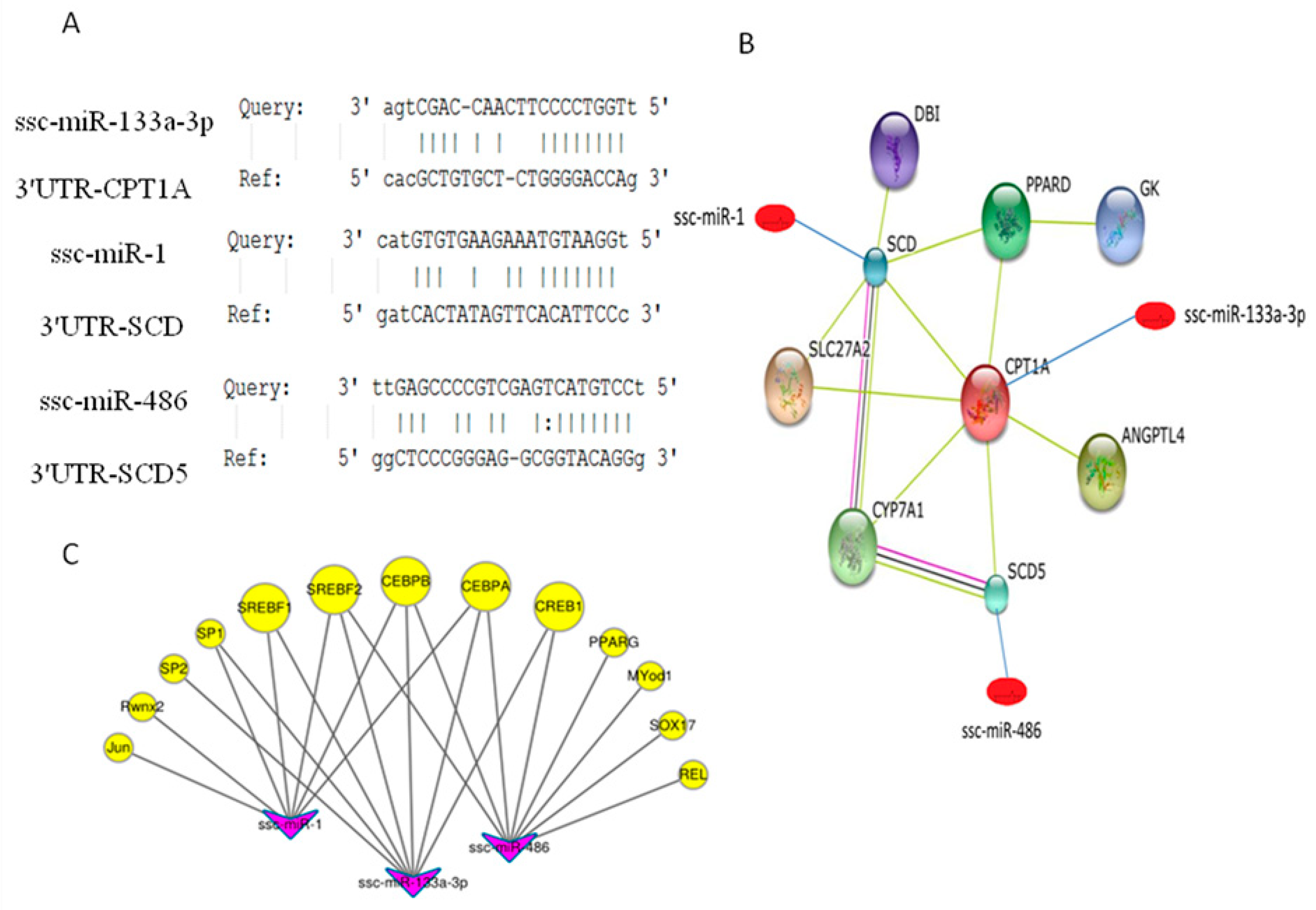 Genes 14 00094 g004