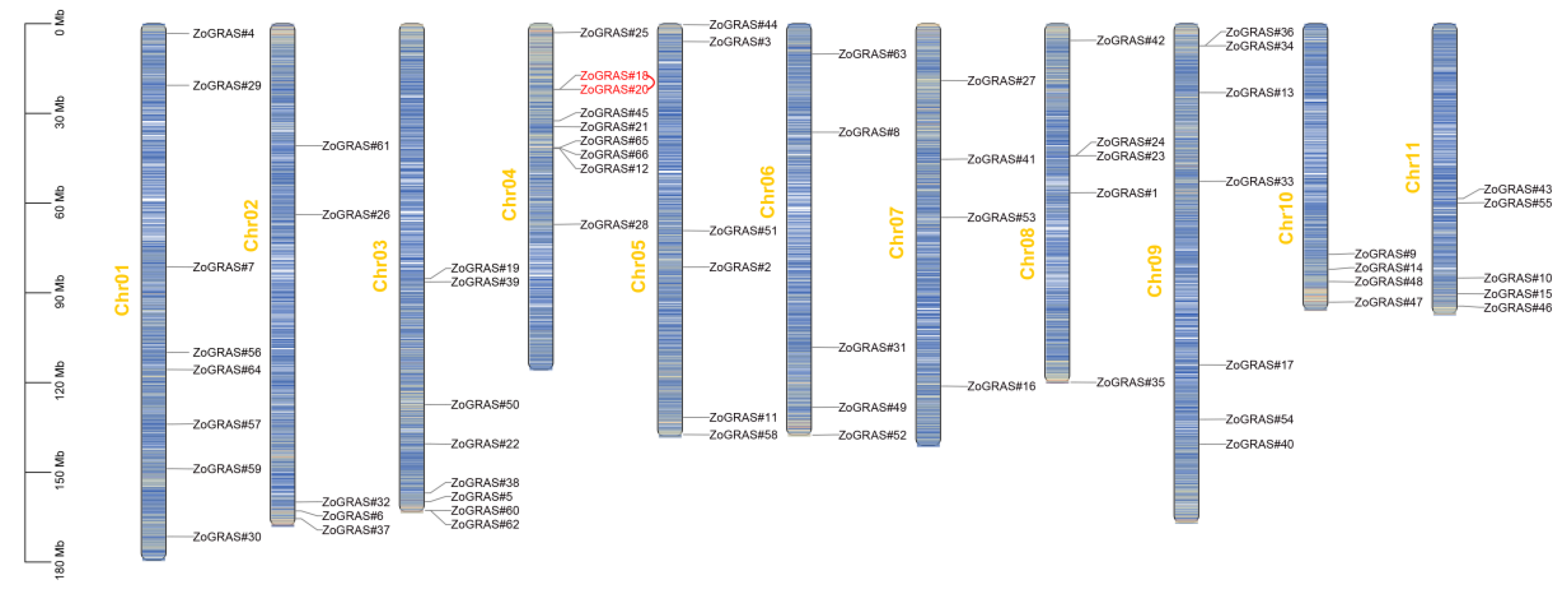 Genes 14 00096 g002