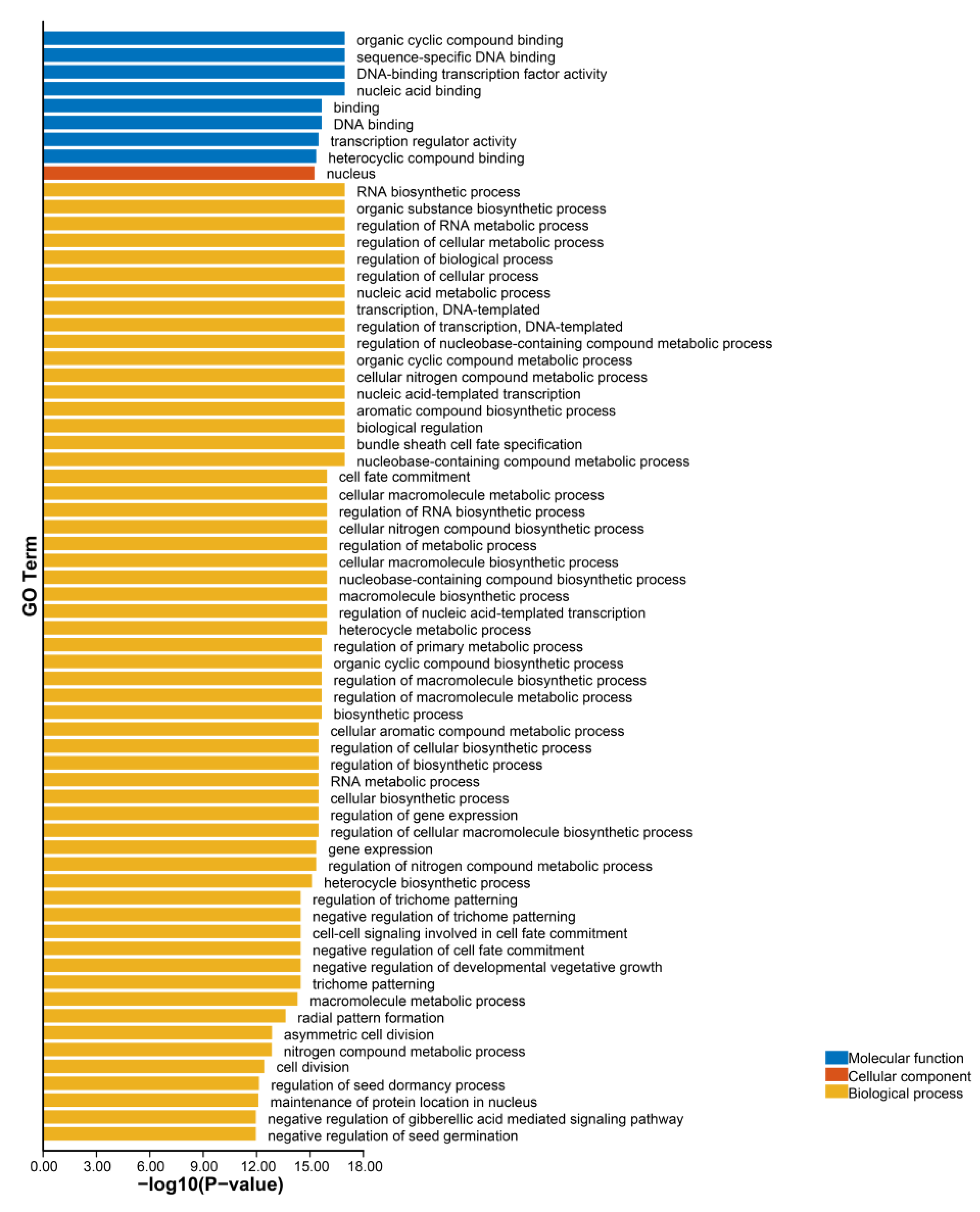 Genes 14 00096 g006