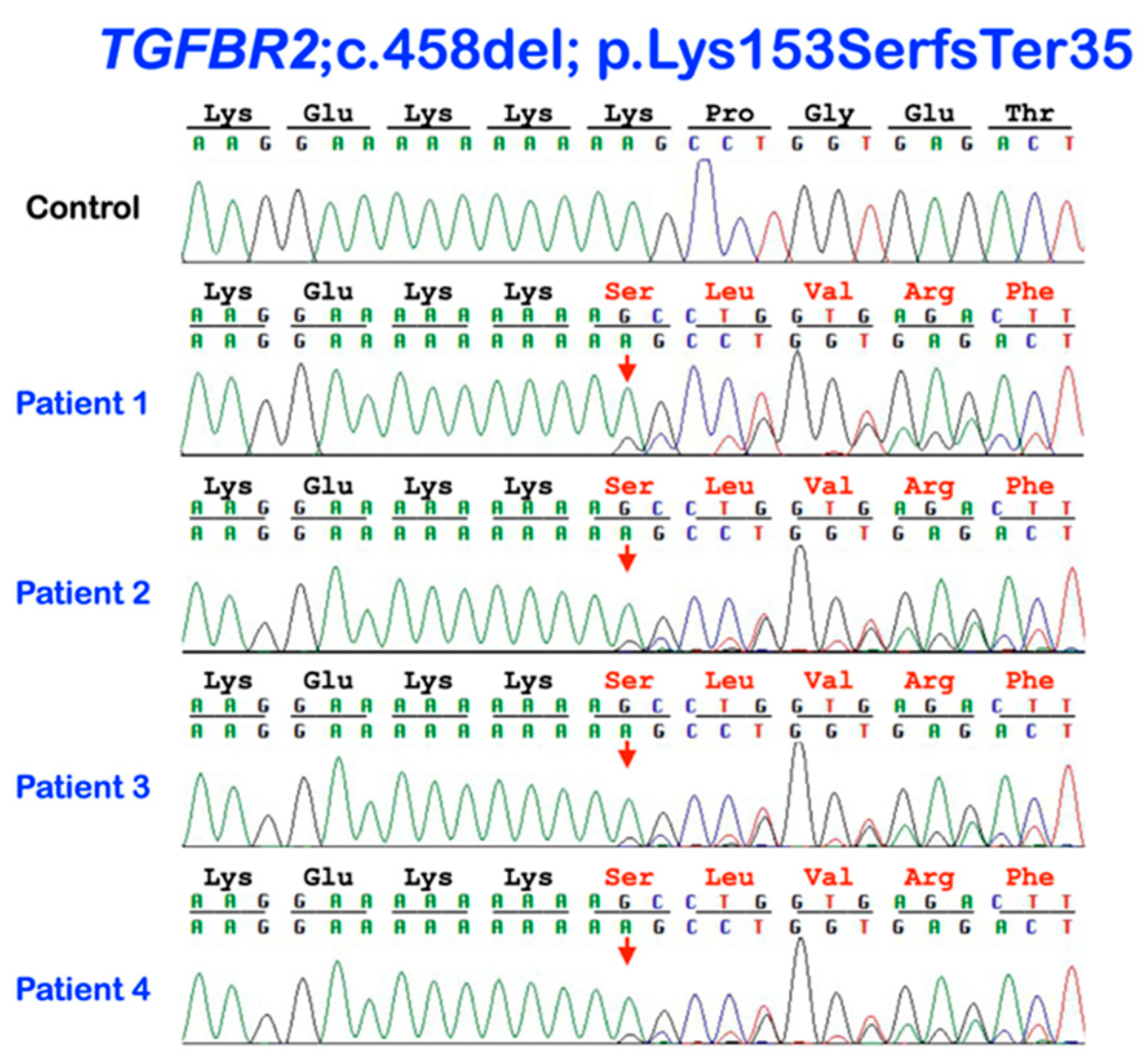 Genes 14 00103 g004 Genes 14 00103 g004
