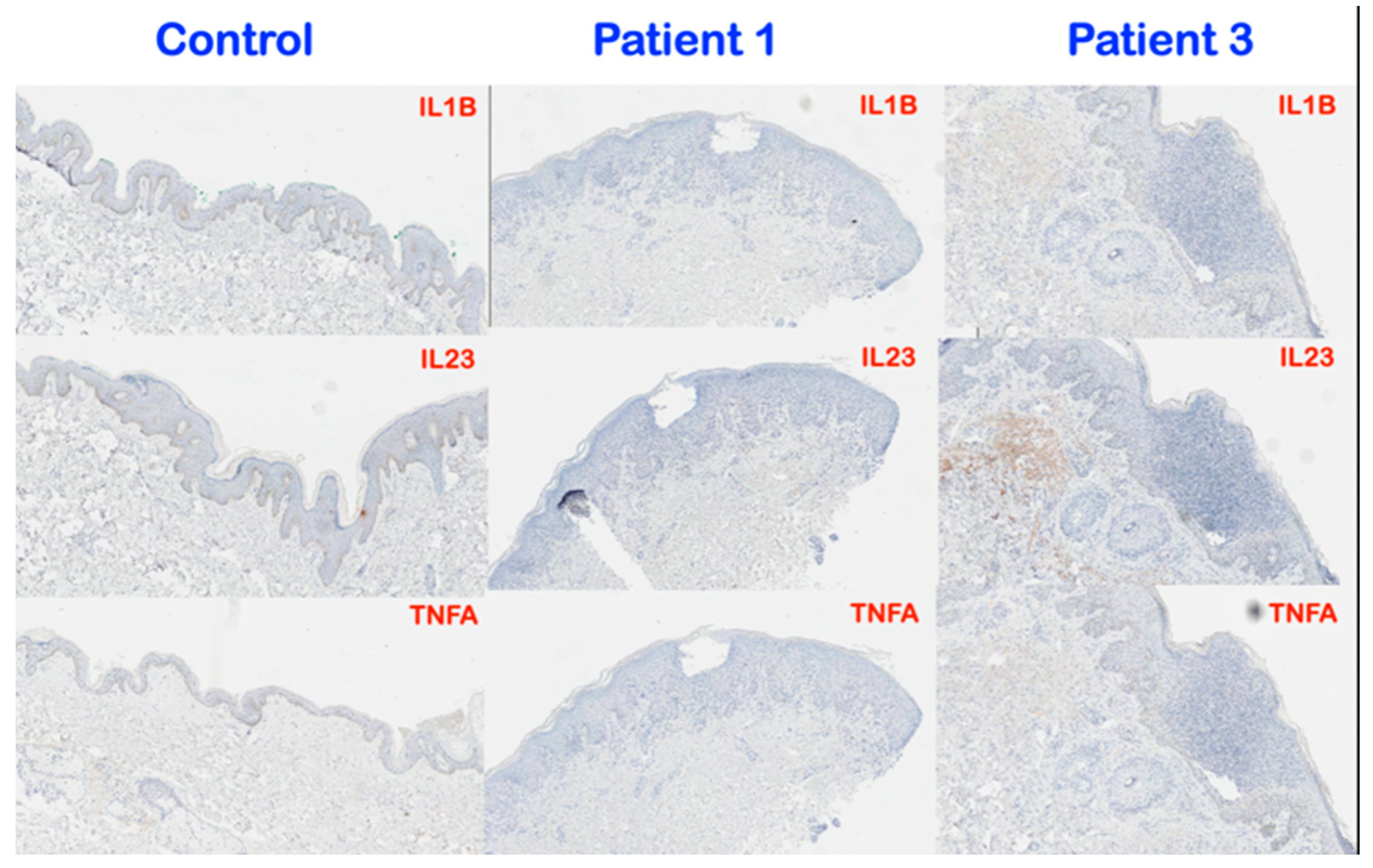 Genes 14 00103 g007 Genes 14 00103 g007