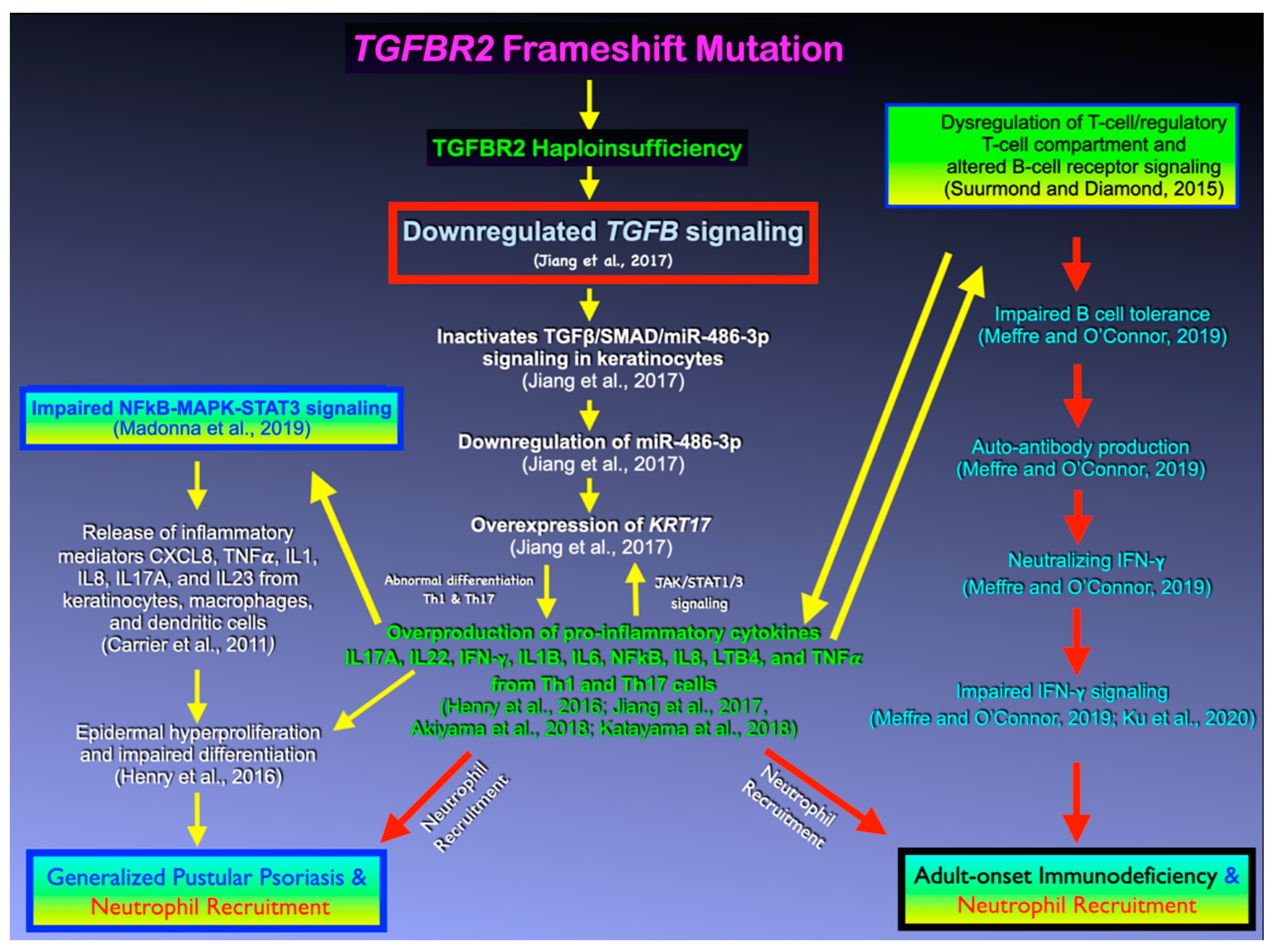 Genes 14 00103 g008 Genes 14 00103 g008