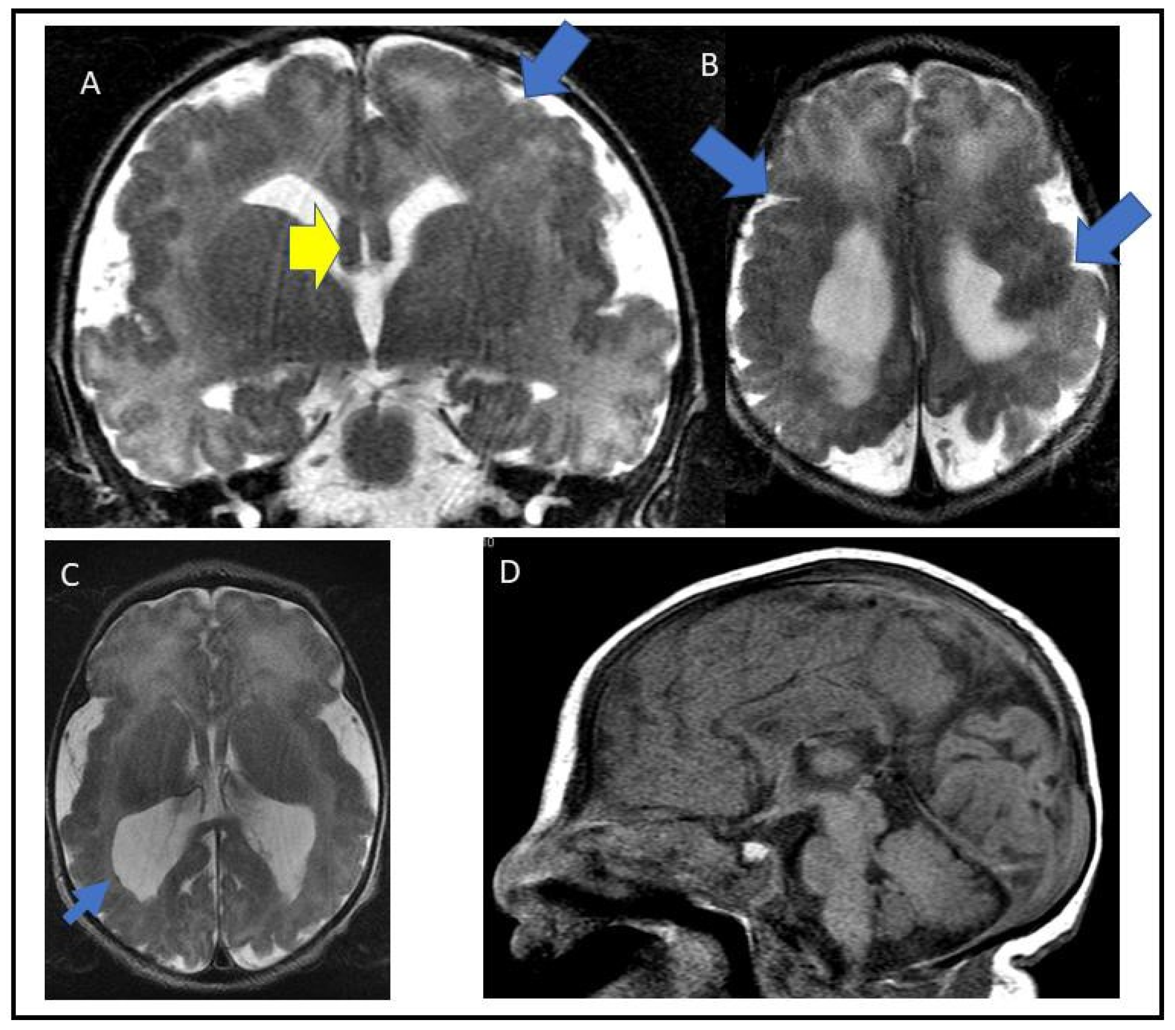Genes 14 00108 g001 Genes 14 00108 g001