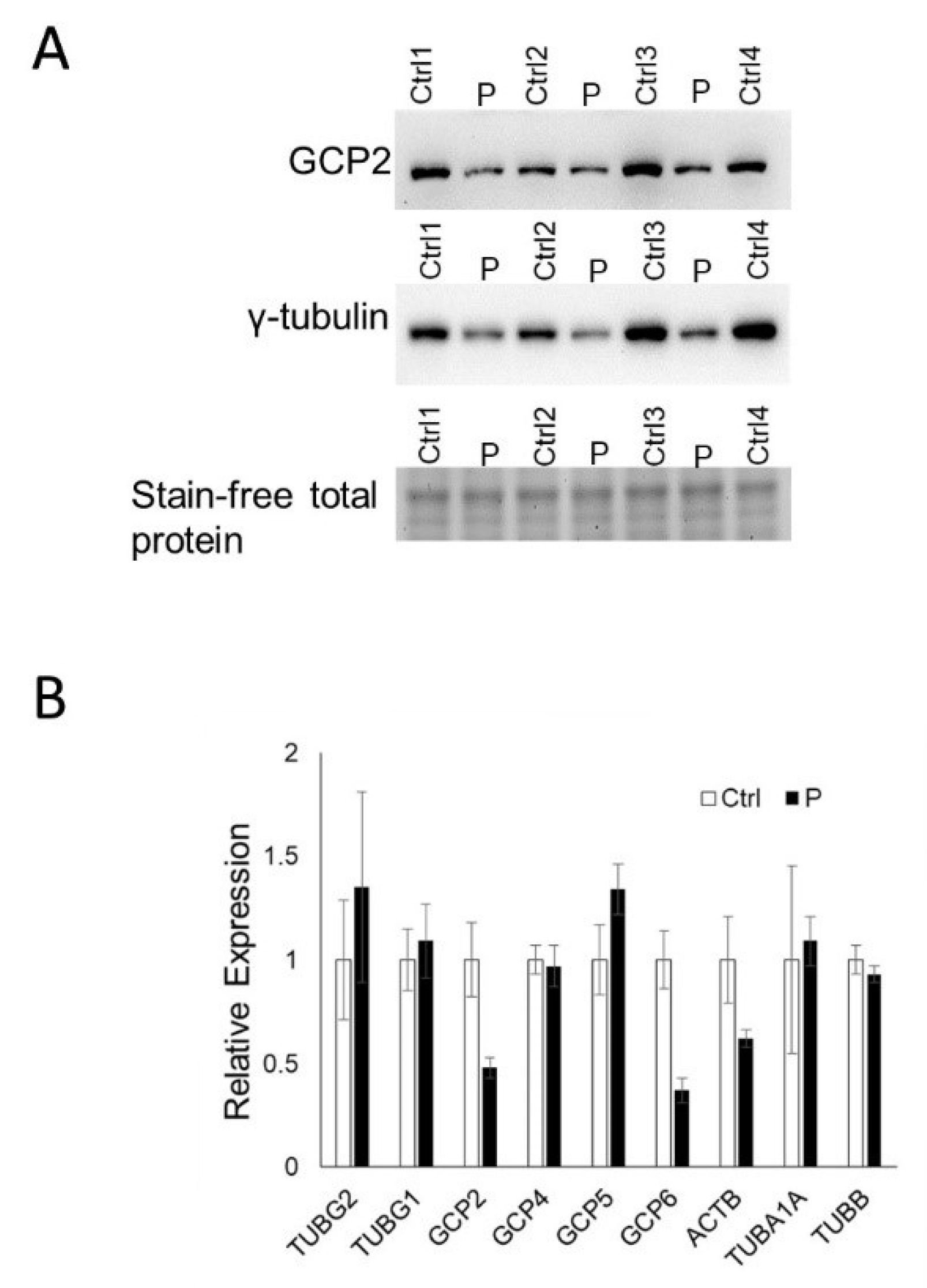 Genes 14 00108 g003 Genes 14 00108 g003