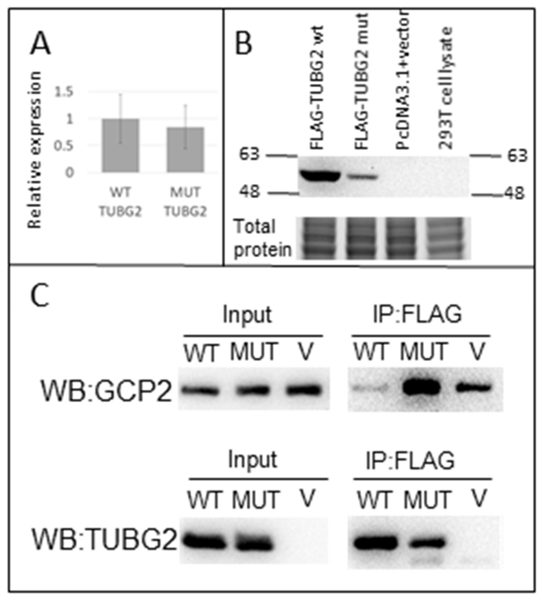 Genes 14 00108 g004 Genes 14 00108 g004