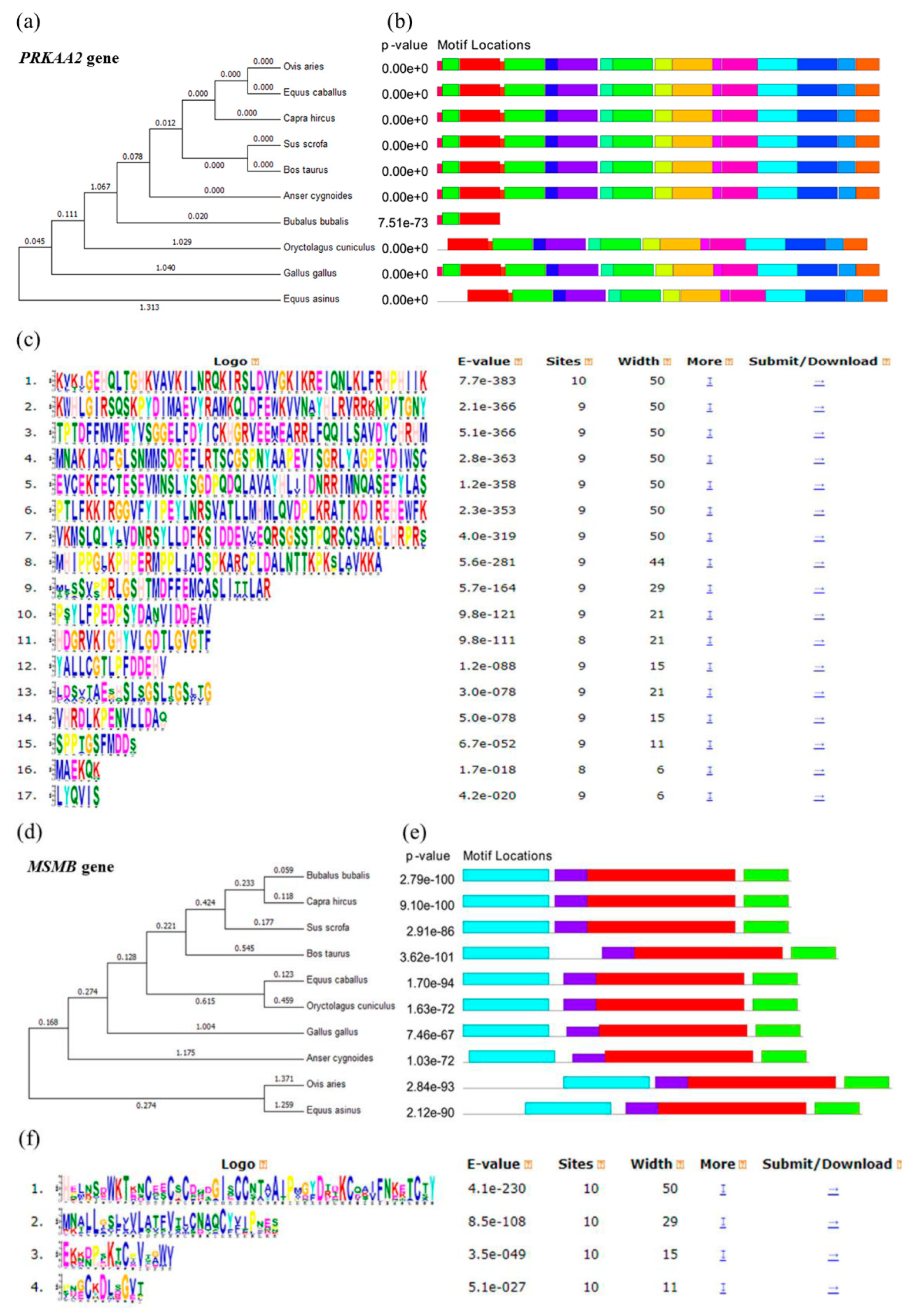 Genes 14 00113 g001 Genes 14 00113 g001