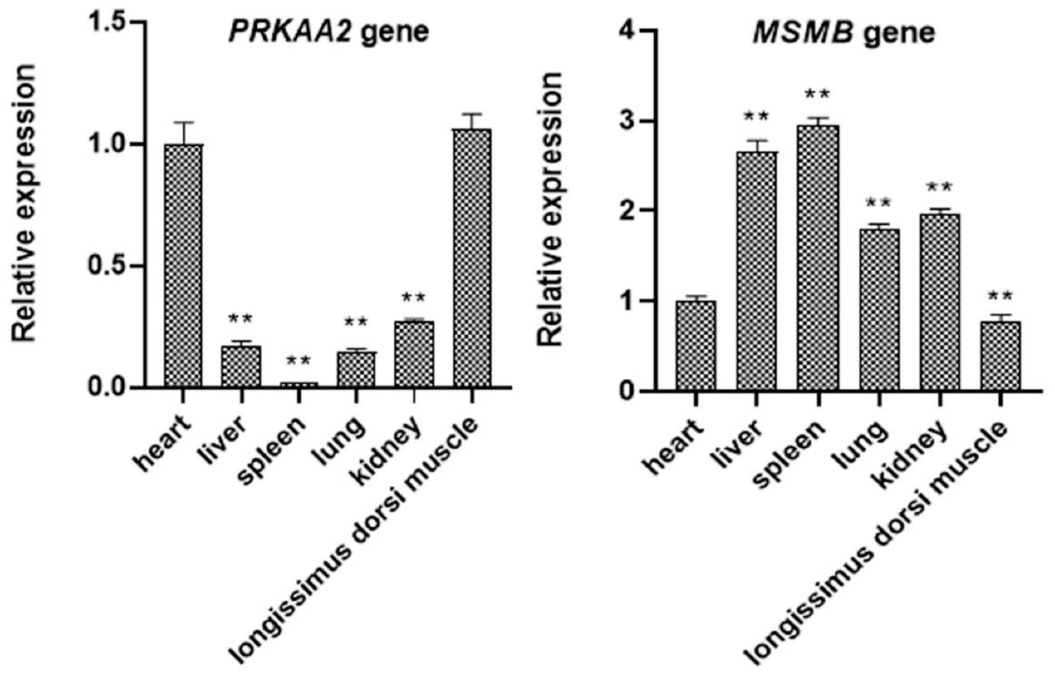 Genes 14 00113 g004 Genes 14 00113 g004