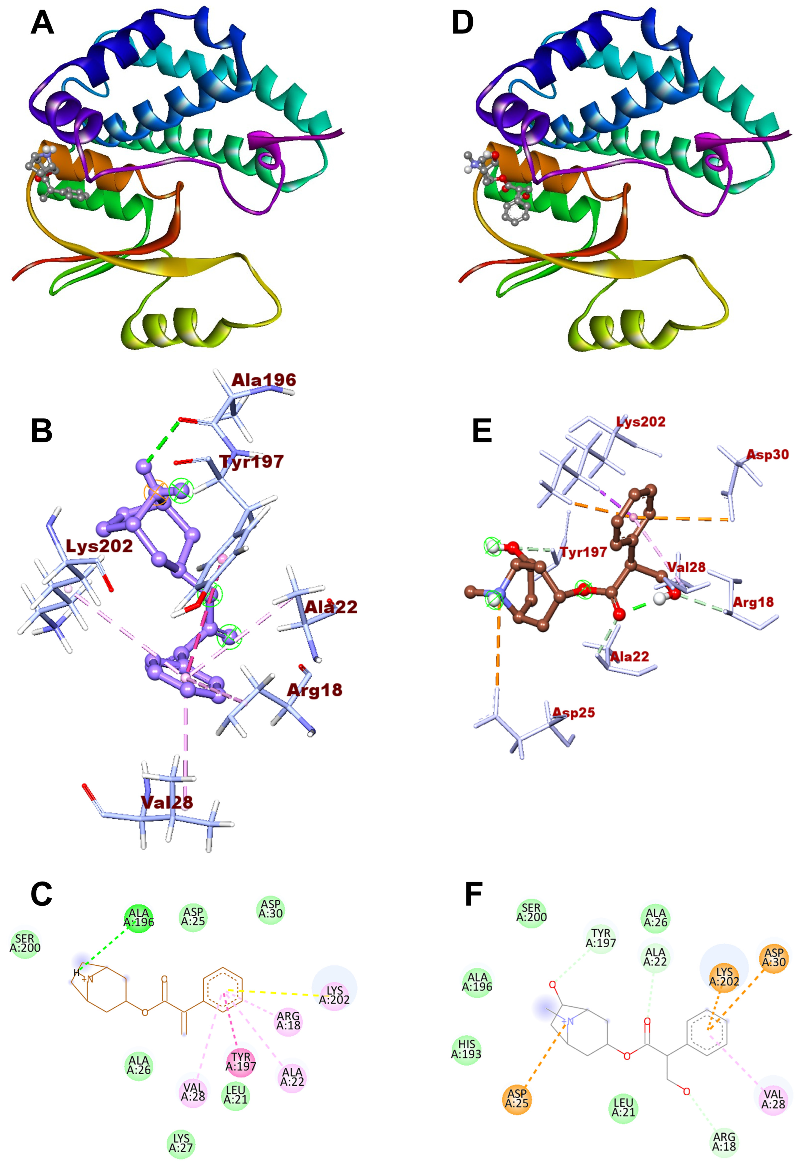 Genes 14 00118 g004 Genes 14 00118 g004