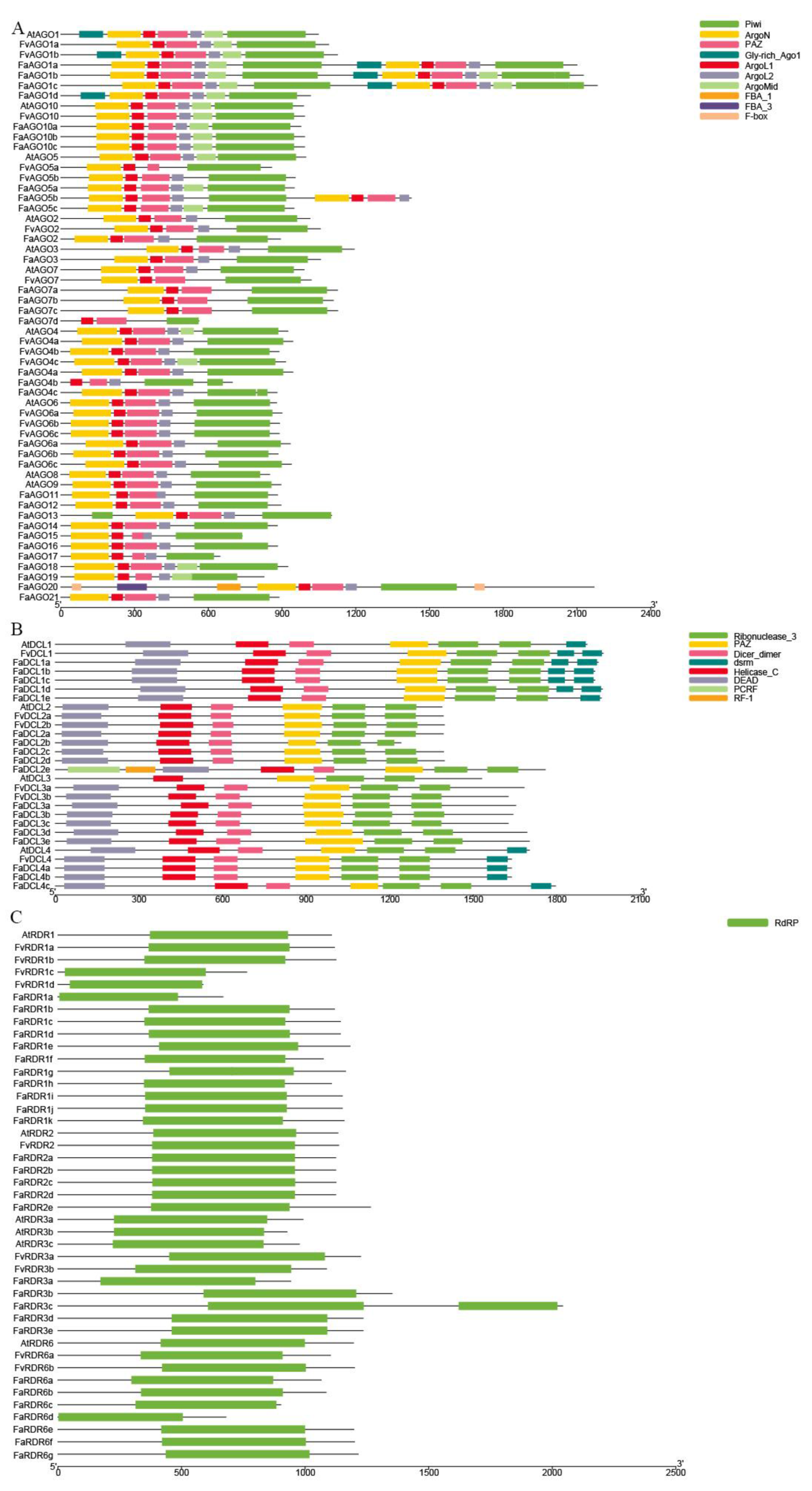 Genome-Wide Identification and Characterization of Argonaute