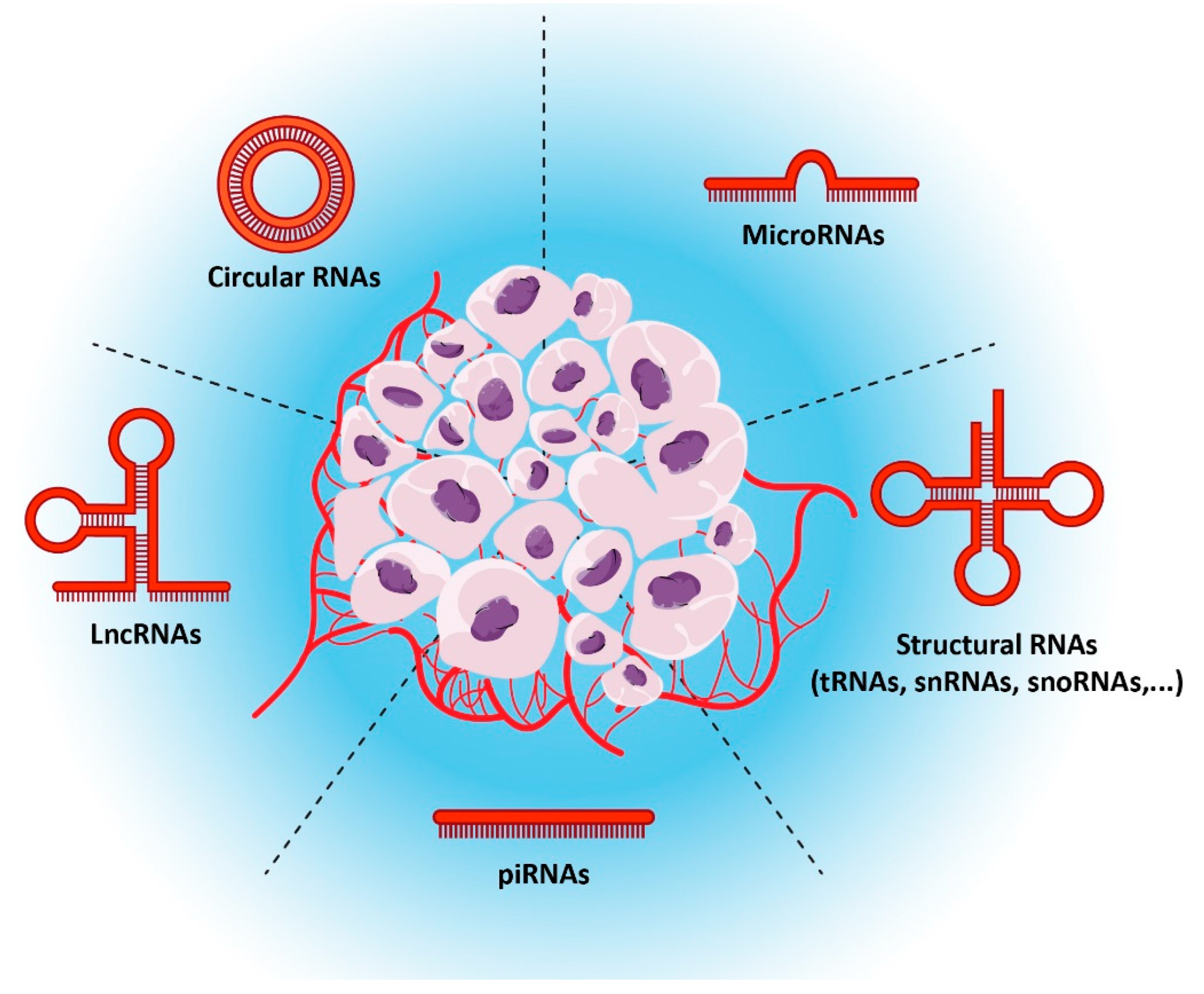 Genes 14 00131 g001 Genes 14 00131 g001