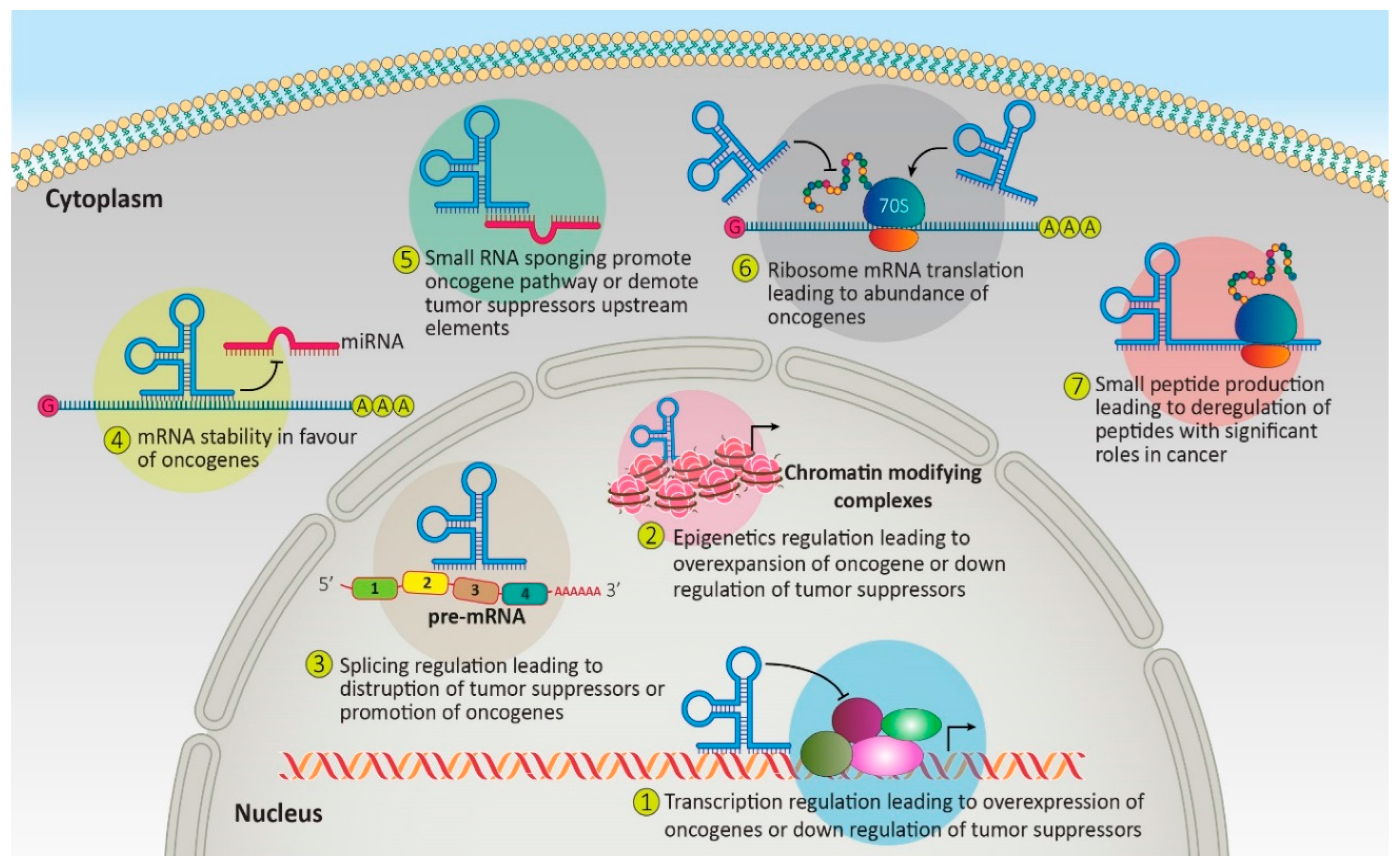 Genes 14 00131 g002 Genes 14 00131 g002