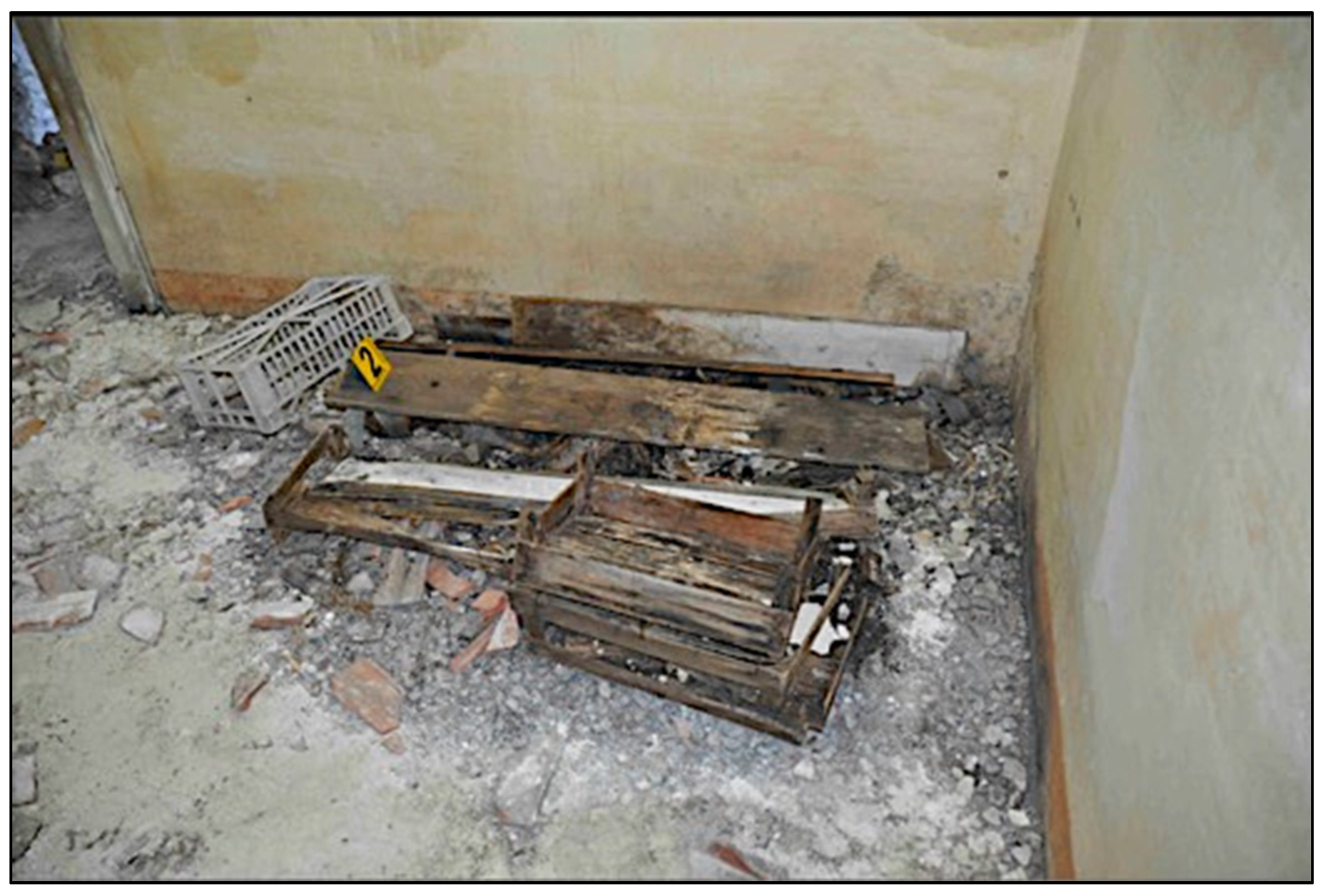 Genes 14 00134 g001 Genes 14 00134 g001