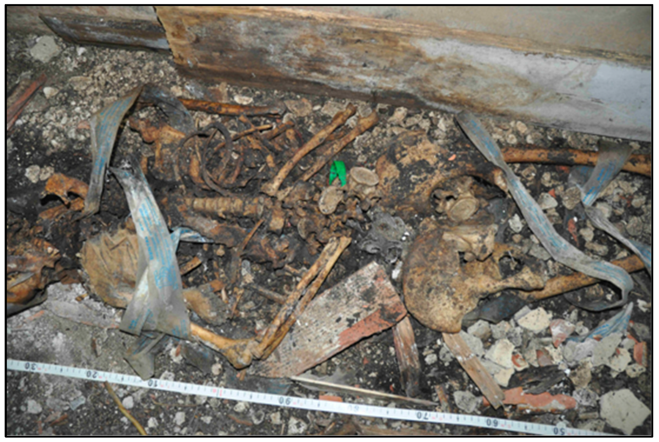 Genes 14 00134 g002 Genes 14 00134 g002