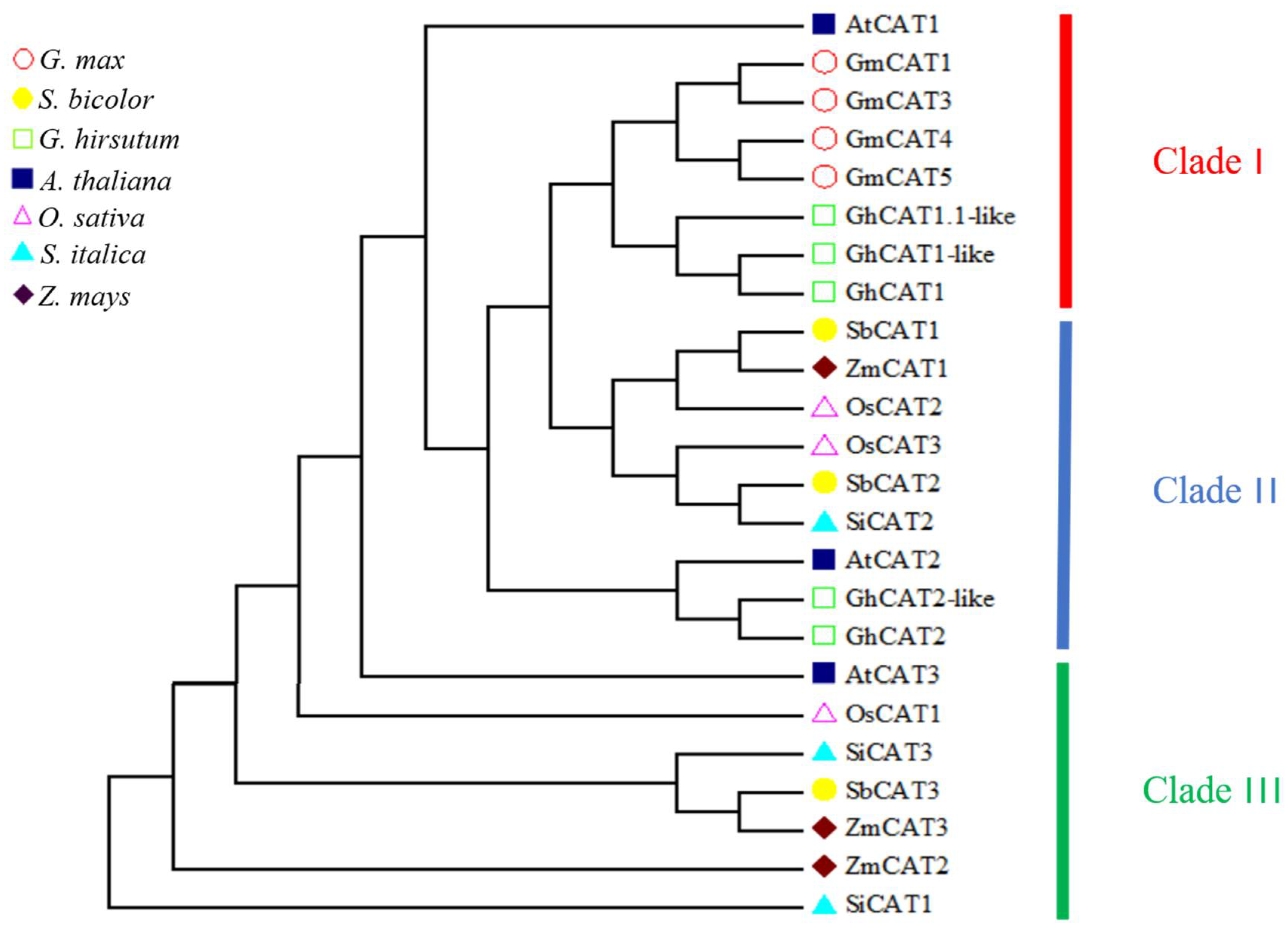 Genes 14 00138 g002 Genes 14 00138 g002