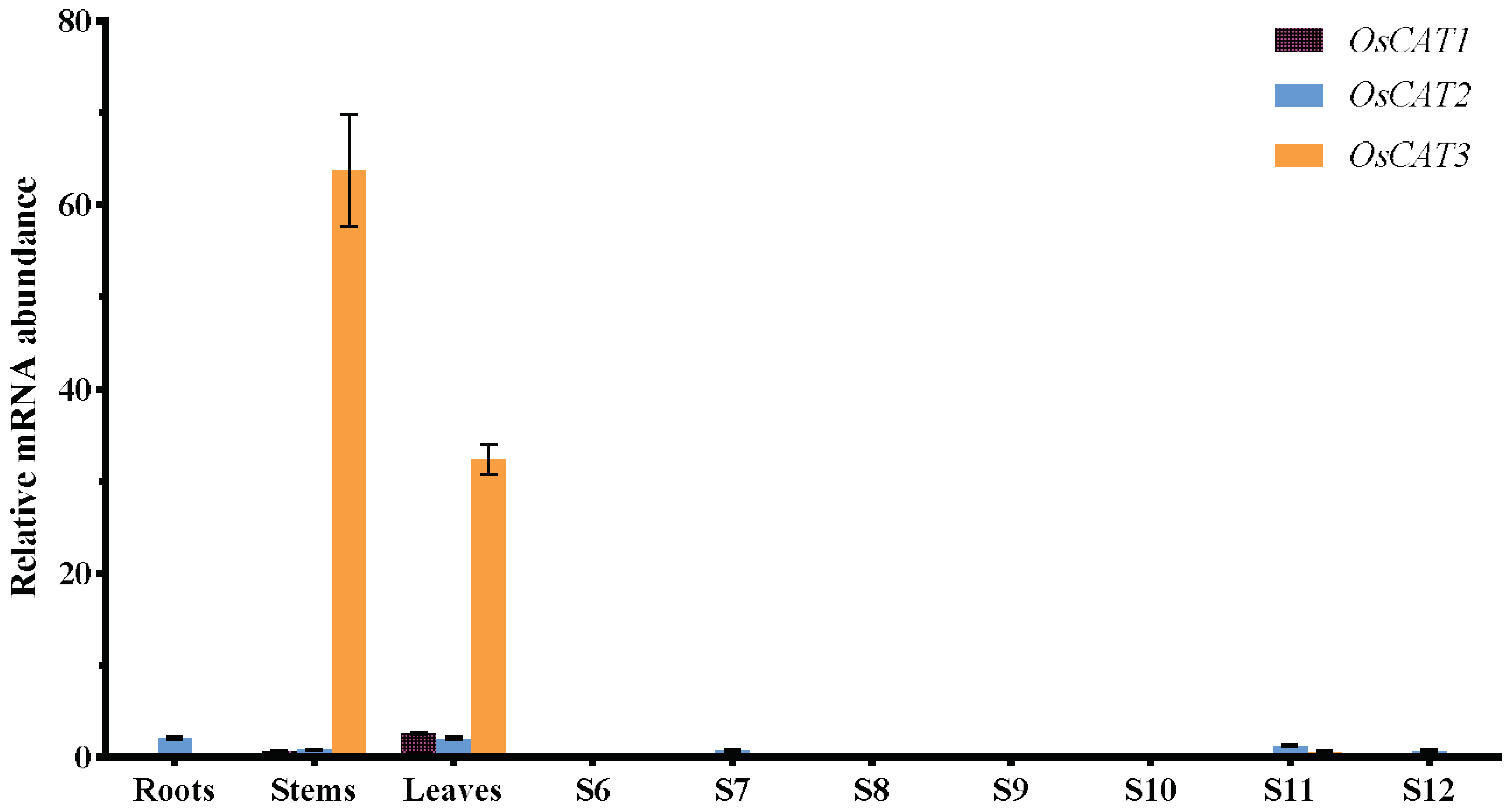 Genes 14 00138 g004 Genes 14 00138 g004