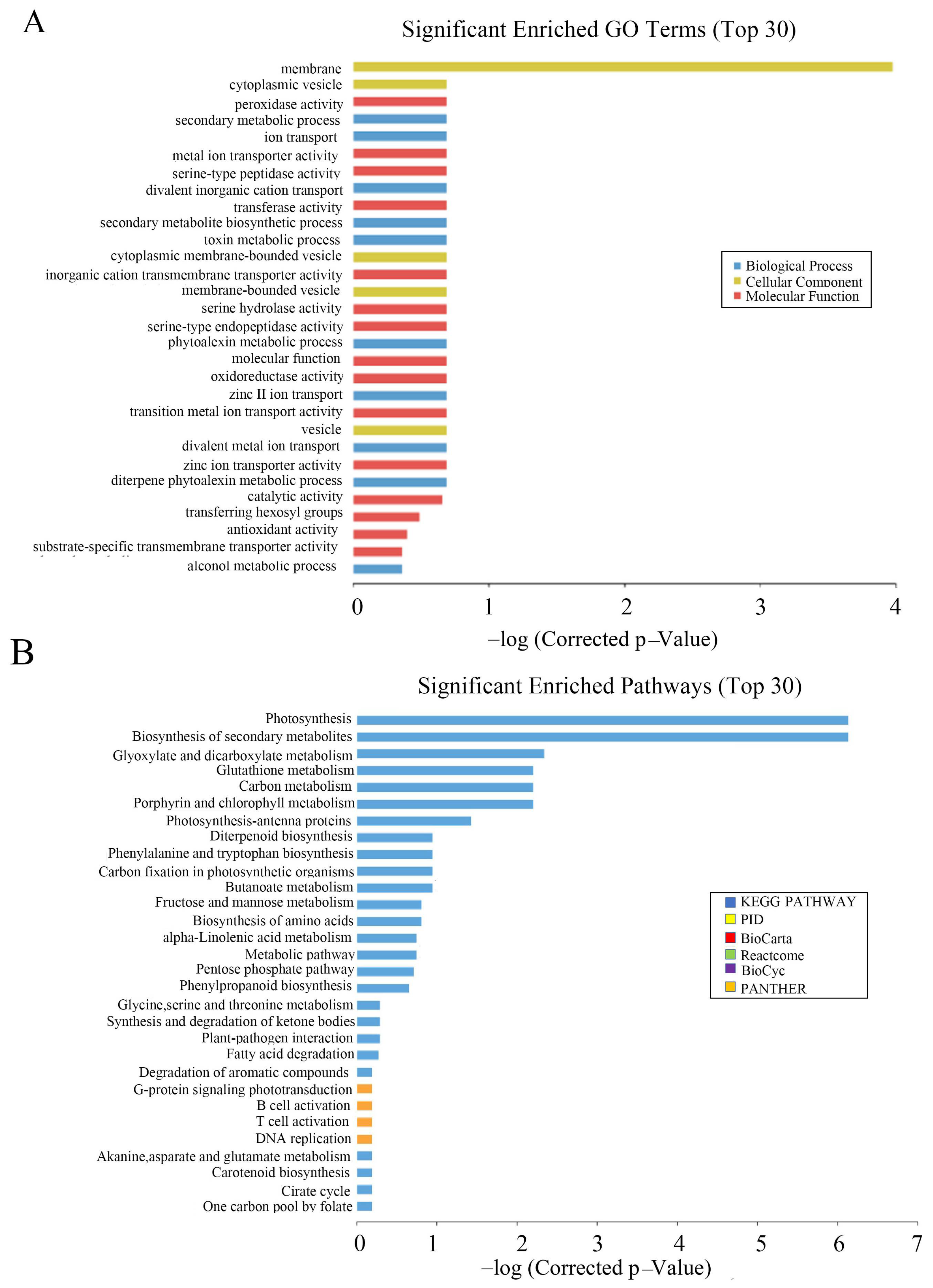 Genes 14 00138 g008 Genes 14 00138 g008