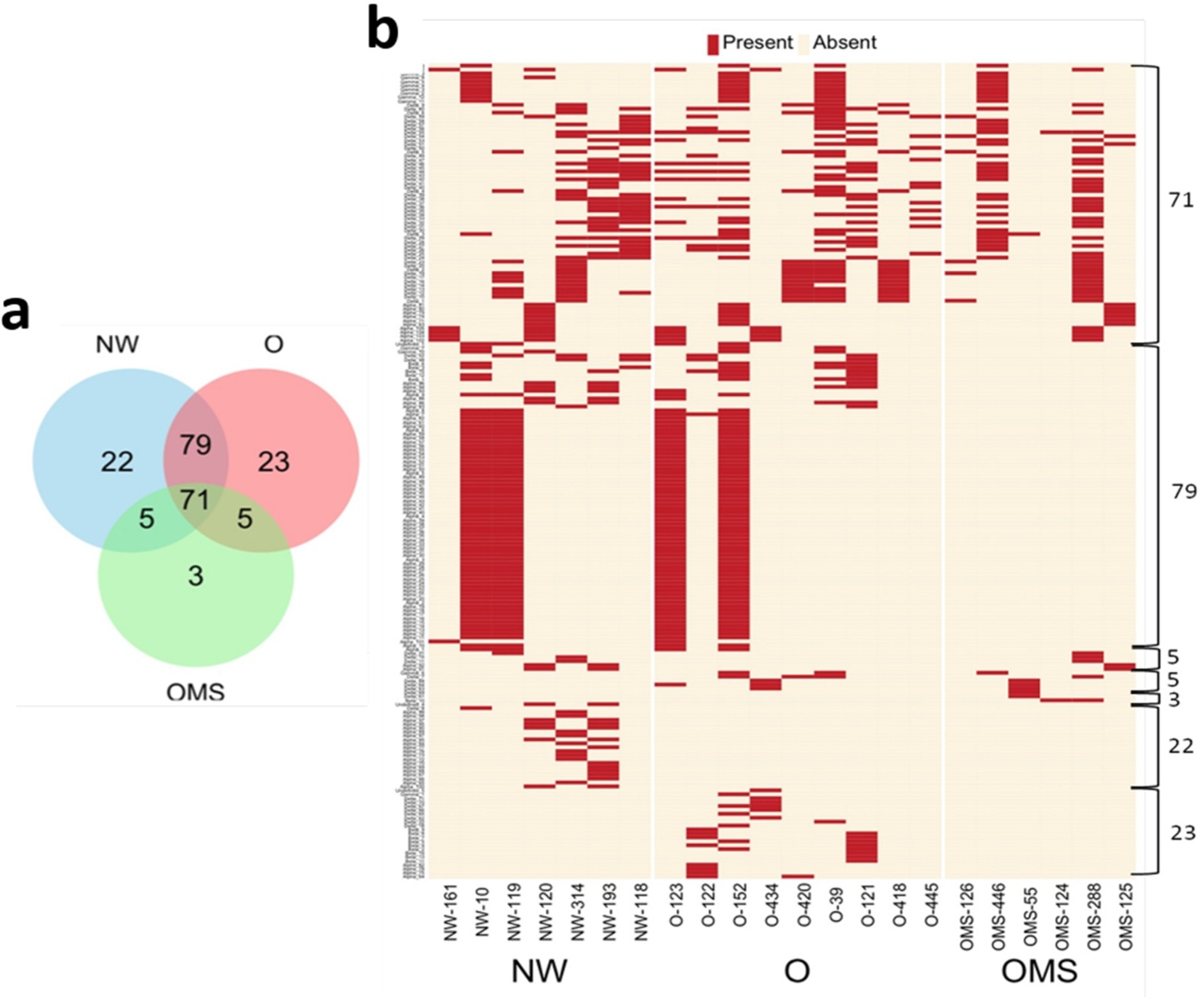 Genes 14 00139 g002 Genes 14 00139 g002
