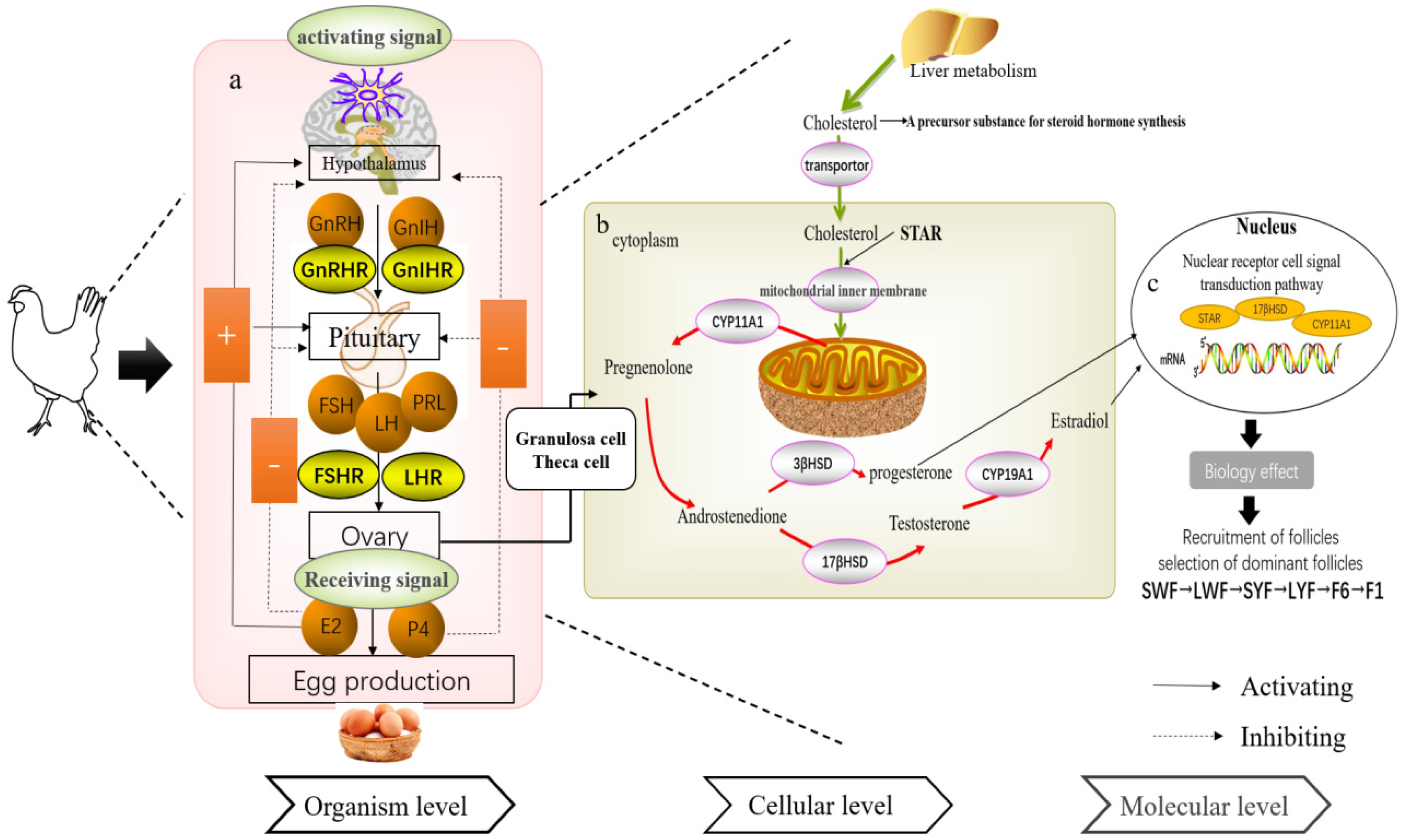 Genes 14 00141 g002 Genes 14 00141 g002