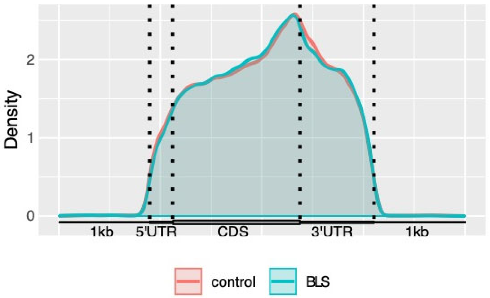 Genes 14 00143 g003 Genes 14 00143 g003