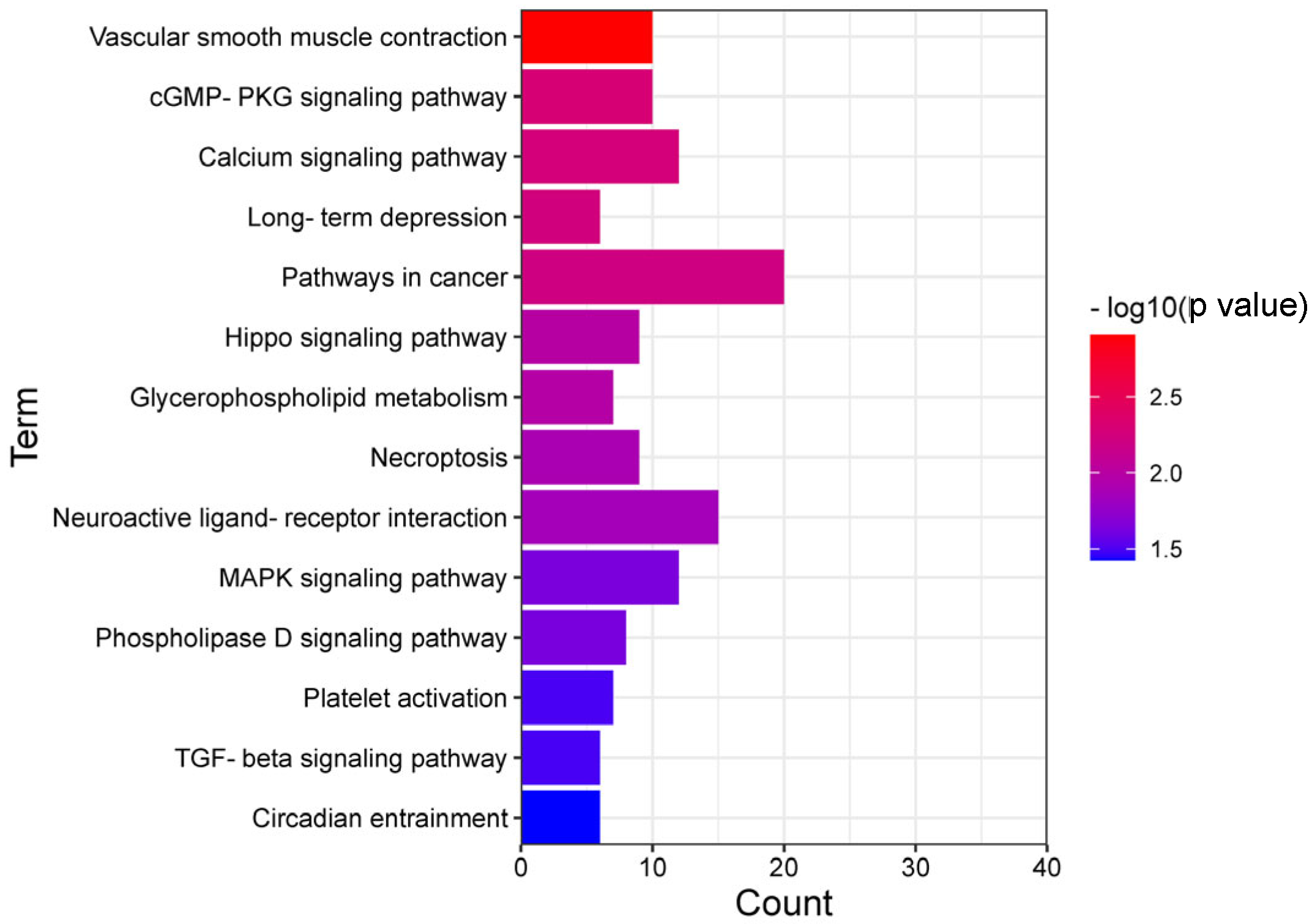 Genes 14 00143 g005 Genes 14 00143 g005