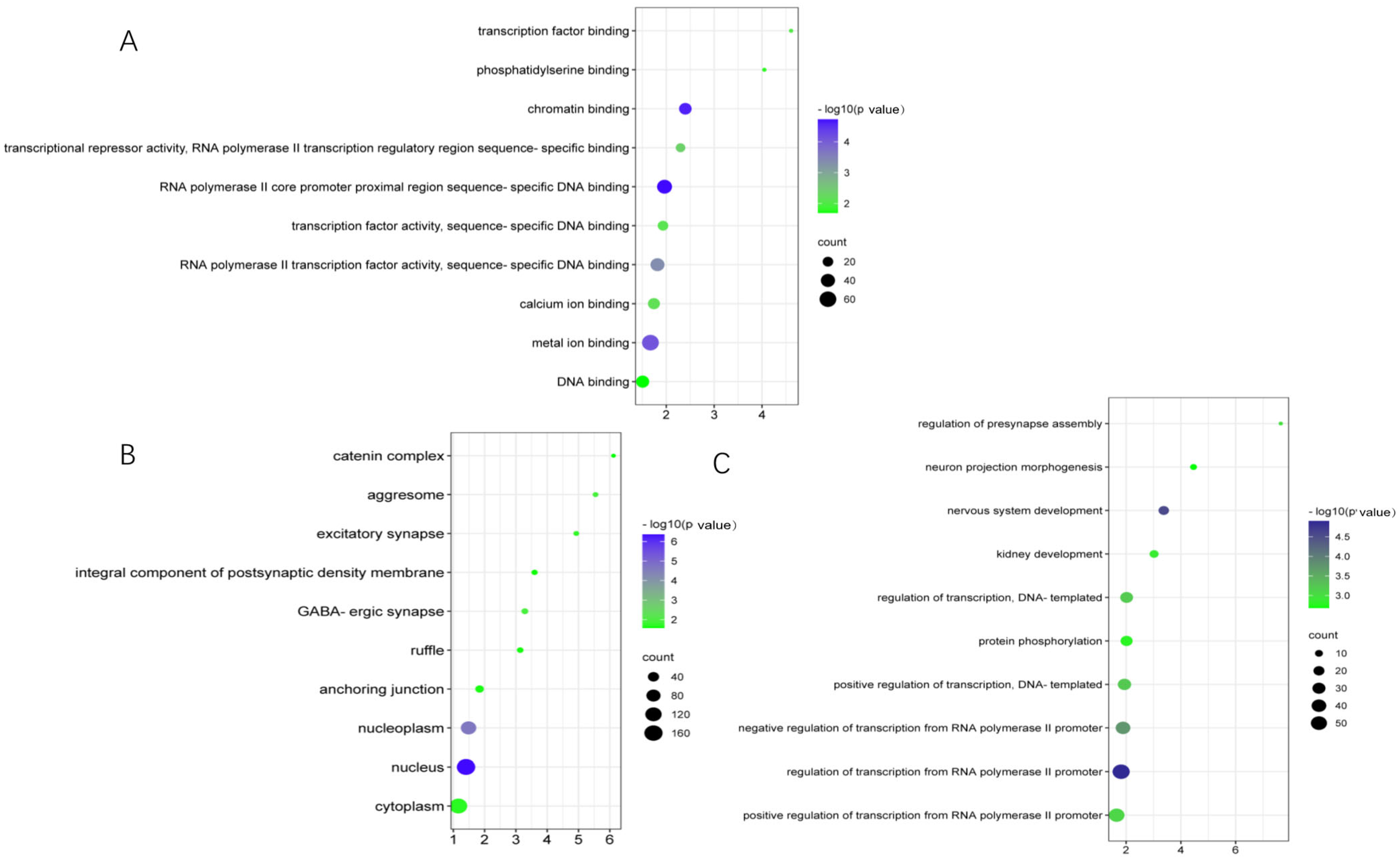 Genes 14 00143 g006 Genes 14 00143 g006