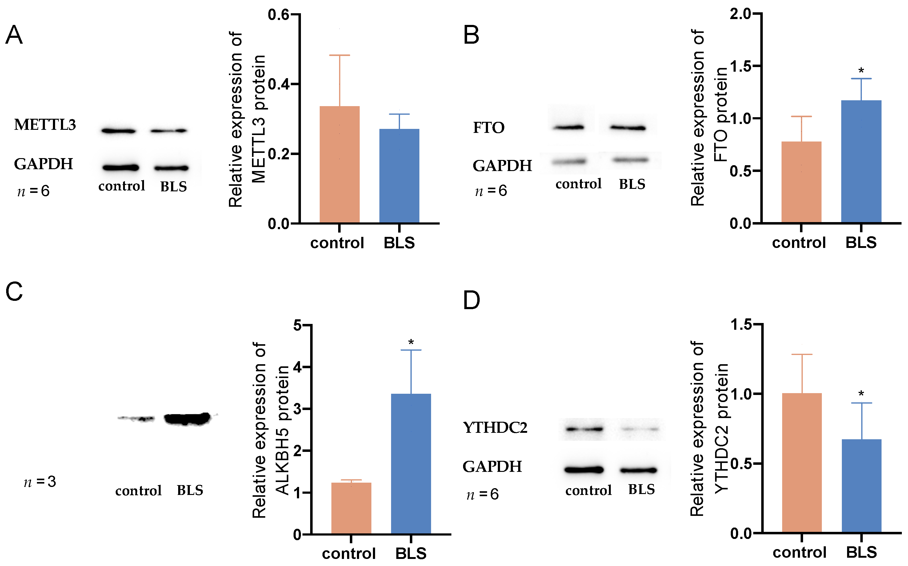 Genes 14 00143 g008 Genes 14 00143 g008