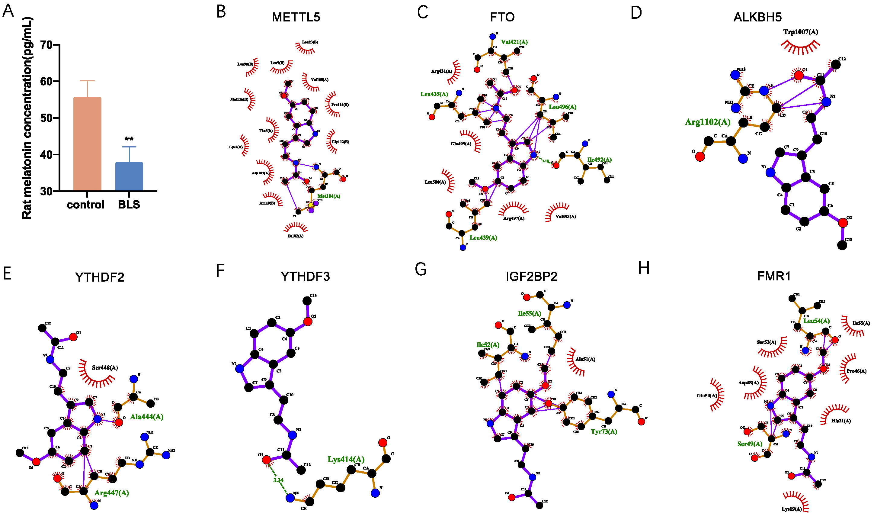 Genes 14 00143 g009 Genes 14 00143 g009