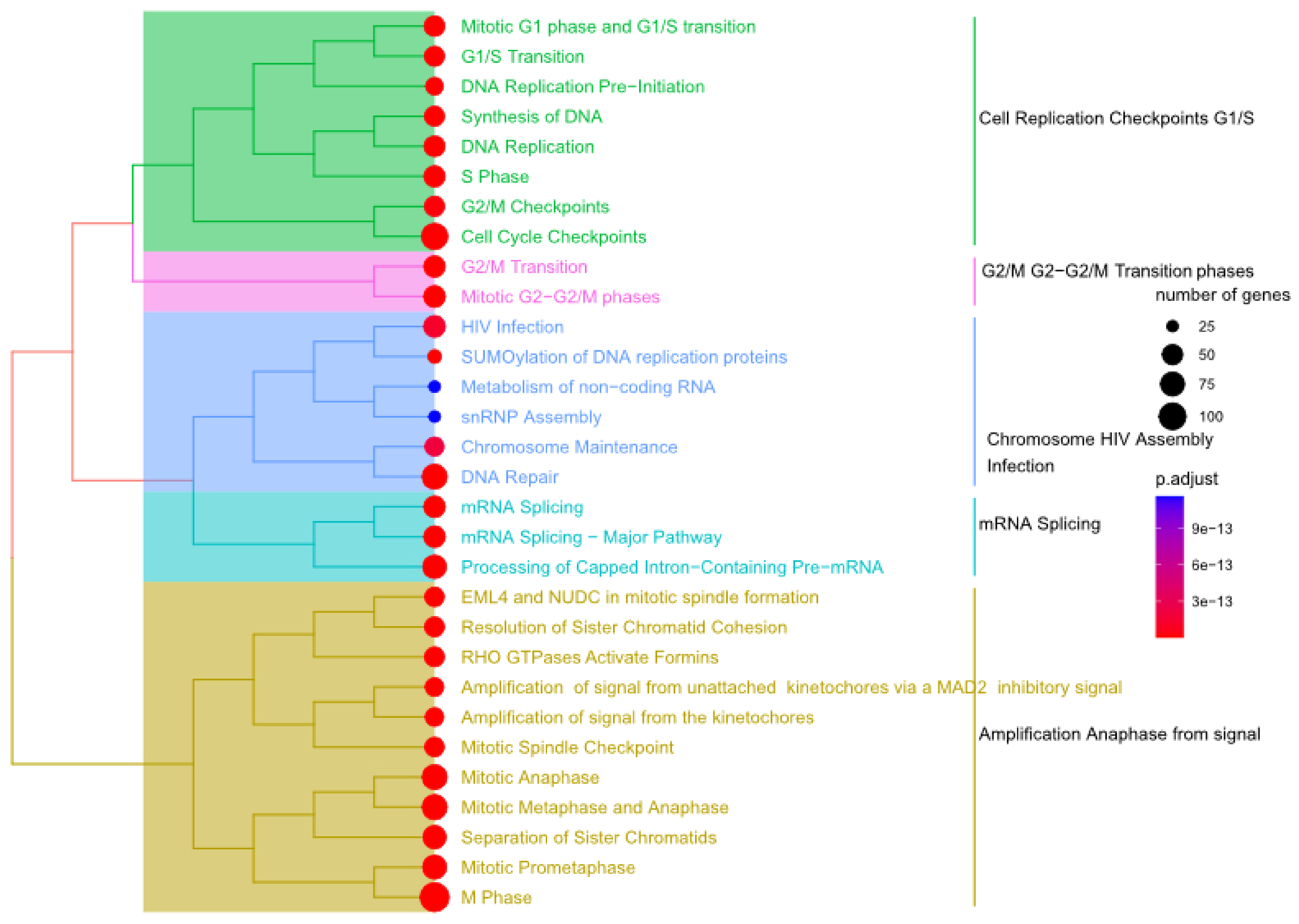 Genes 14 00144 g004 Genes 14 00144 g004