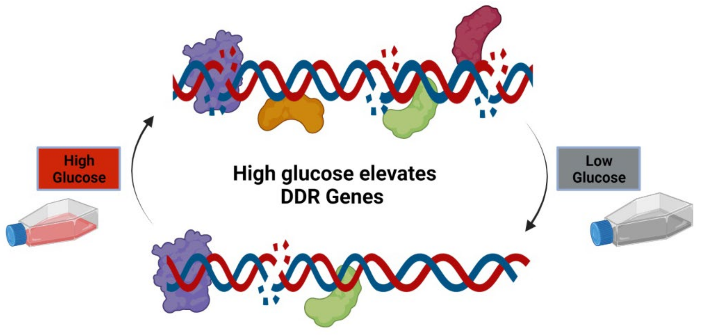 Genes 14 00144 g010 Genes 14 00144 g010