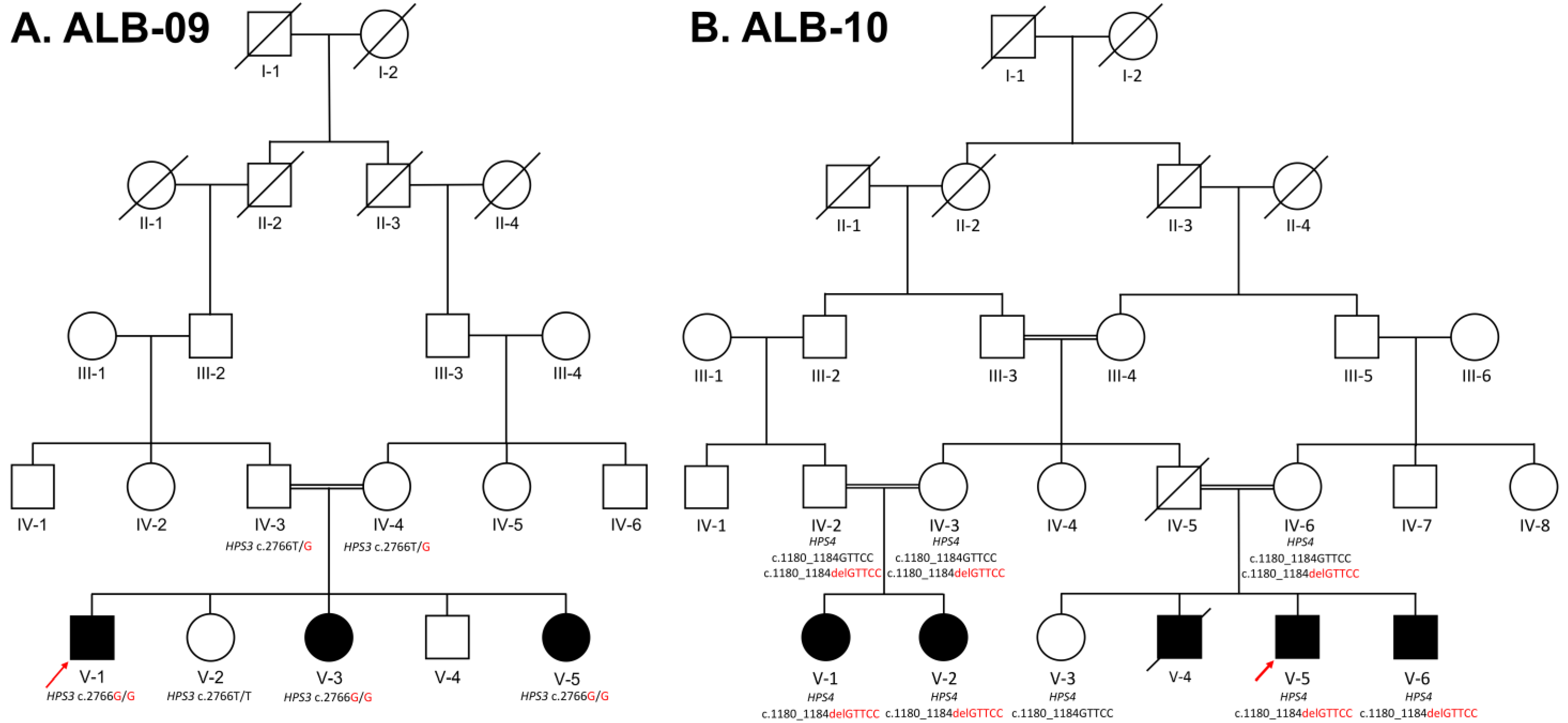 Genes 14 00145 g001 Genes 14 00145 g001