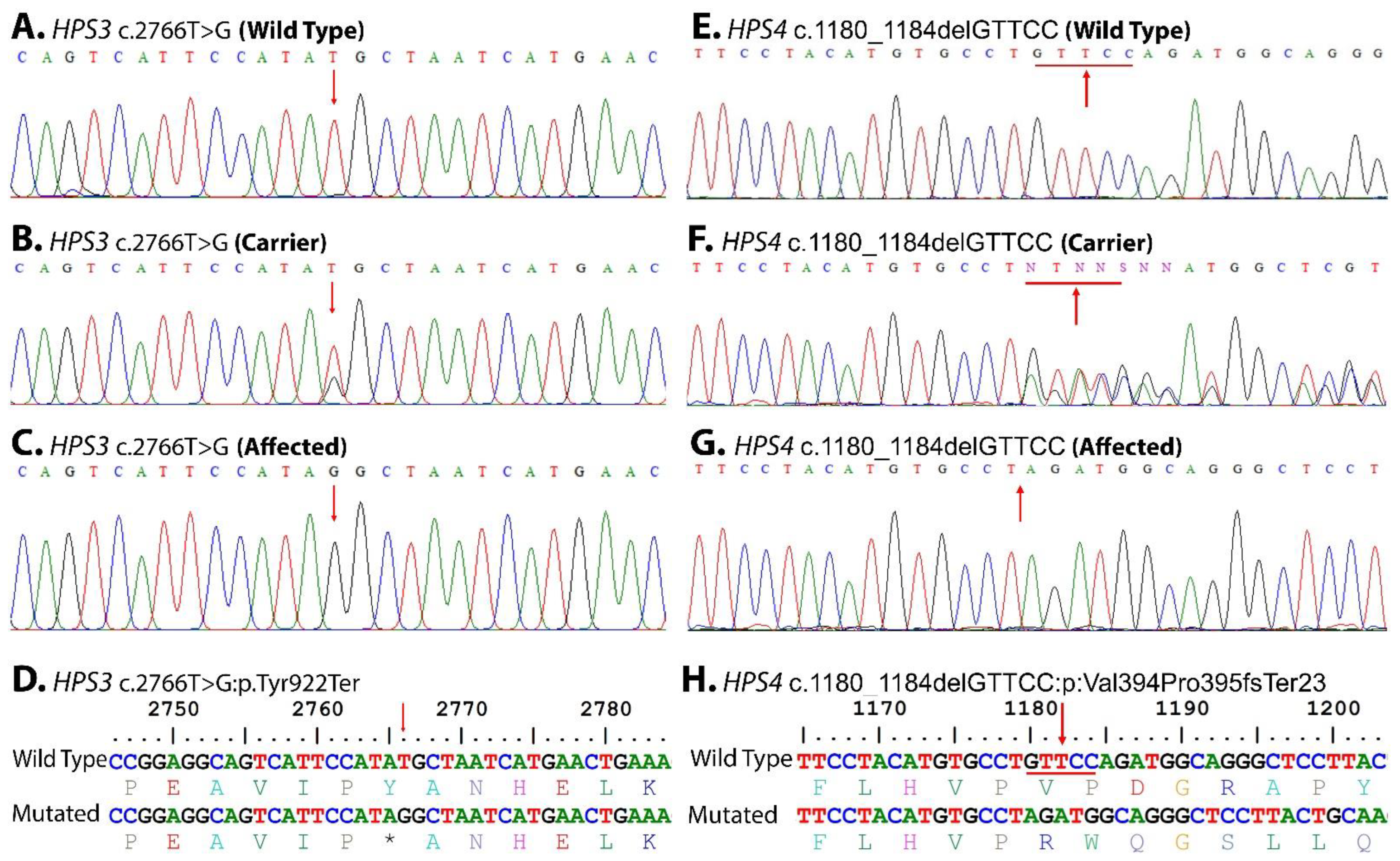 Genes 14 00145 g003 Genes 14 00145 g003