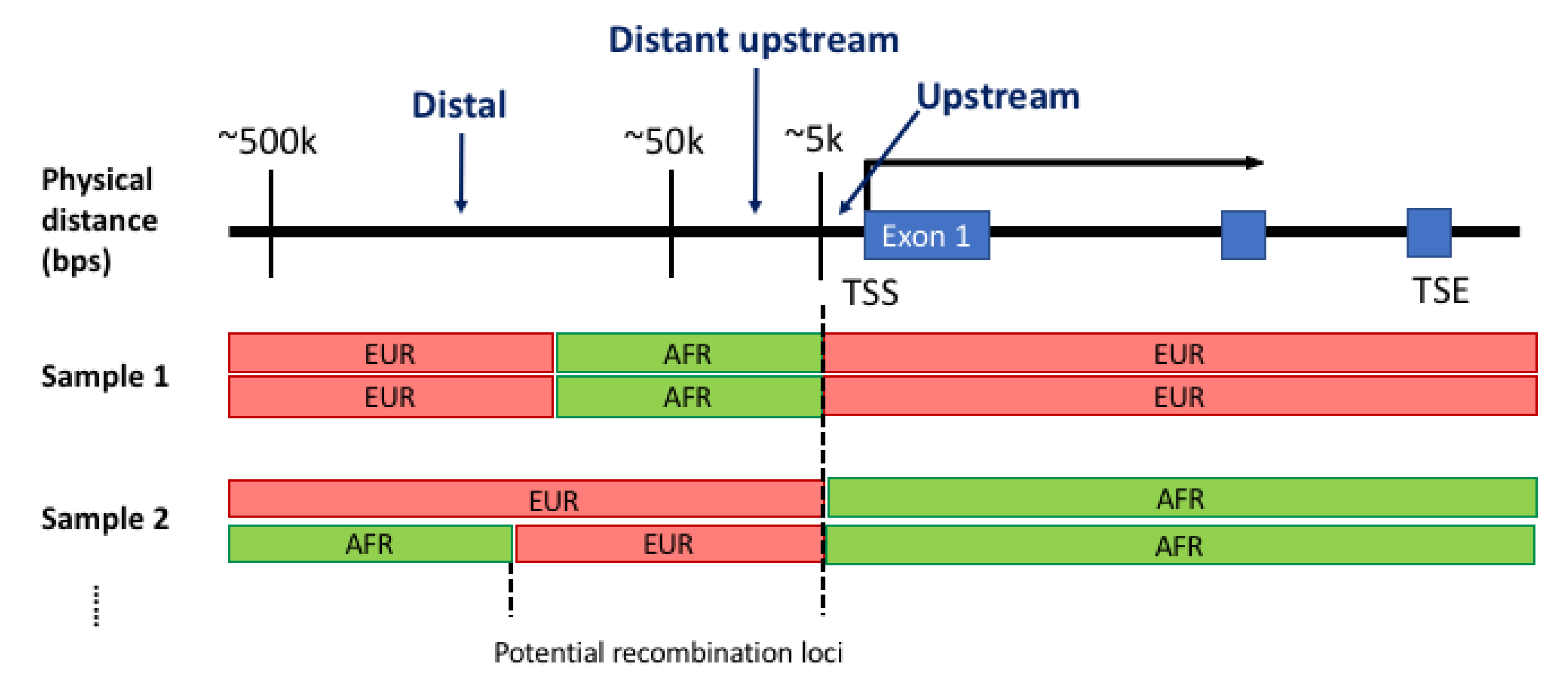 Genes 14 00147 g001 Genes 14 00147 g001